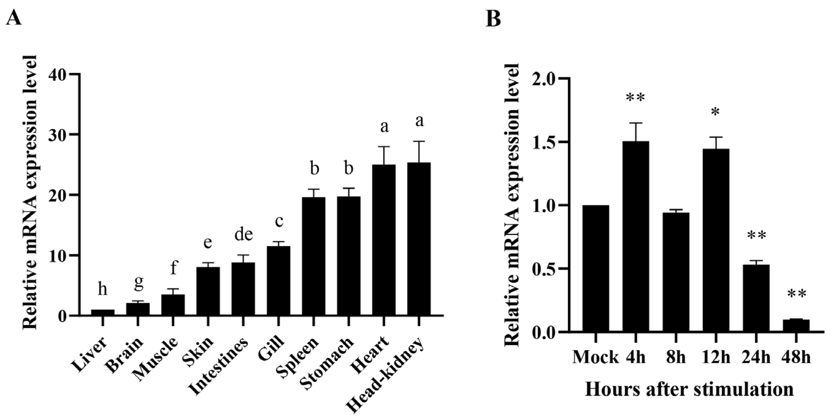 Fishes 08 00231 g003 Fishes 08 00231 g003