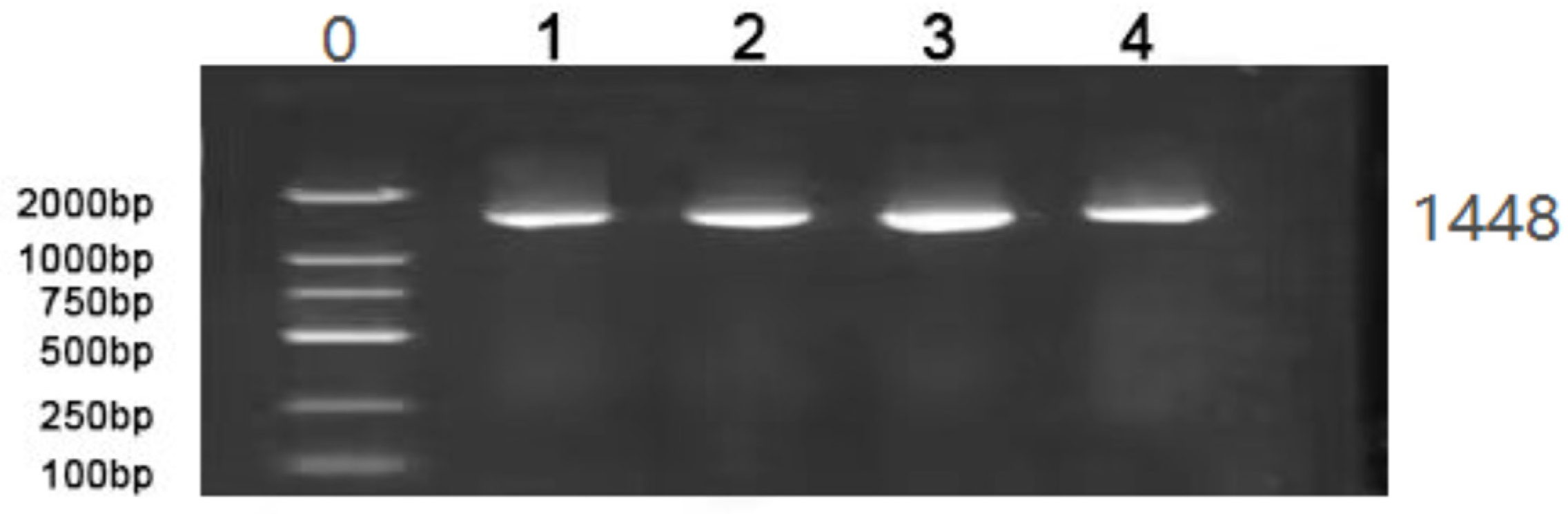 Fishes 08 00235 g001