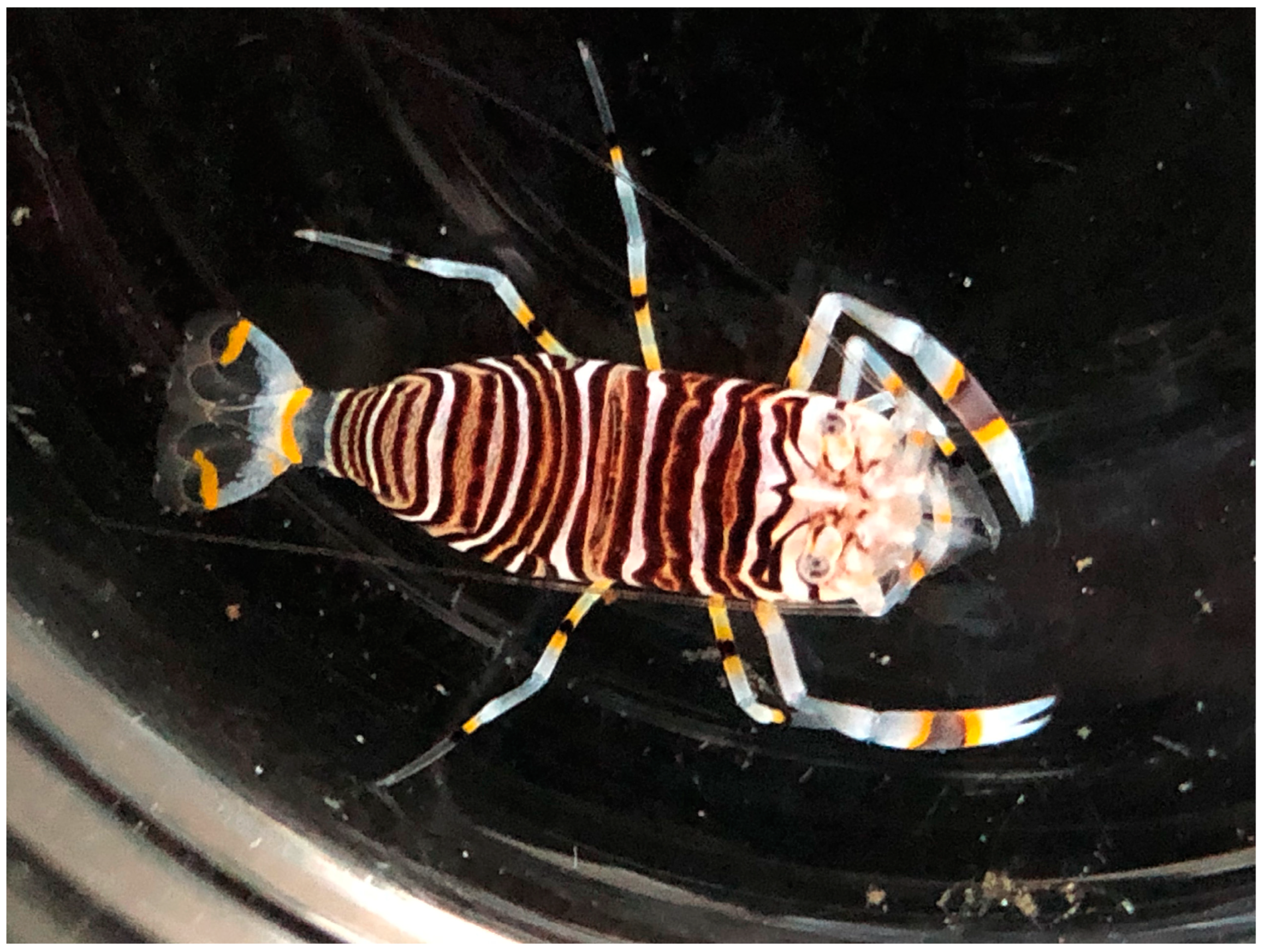 Fishes 08 00238 g001 Fishes 08 00238 g001