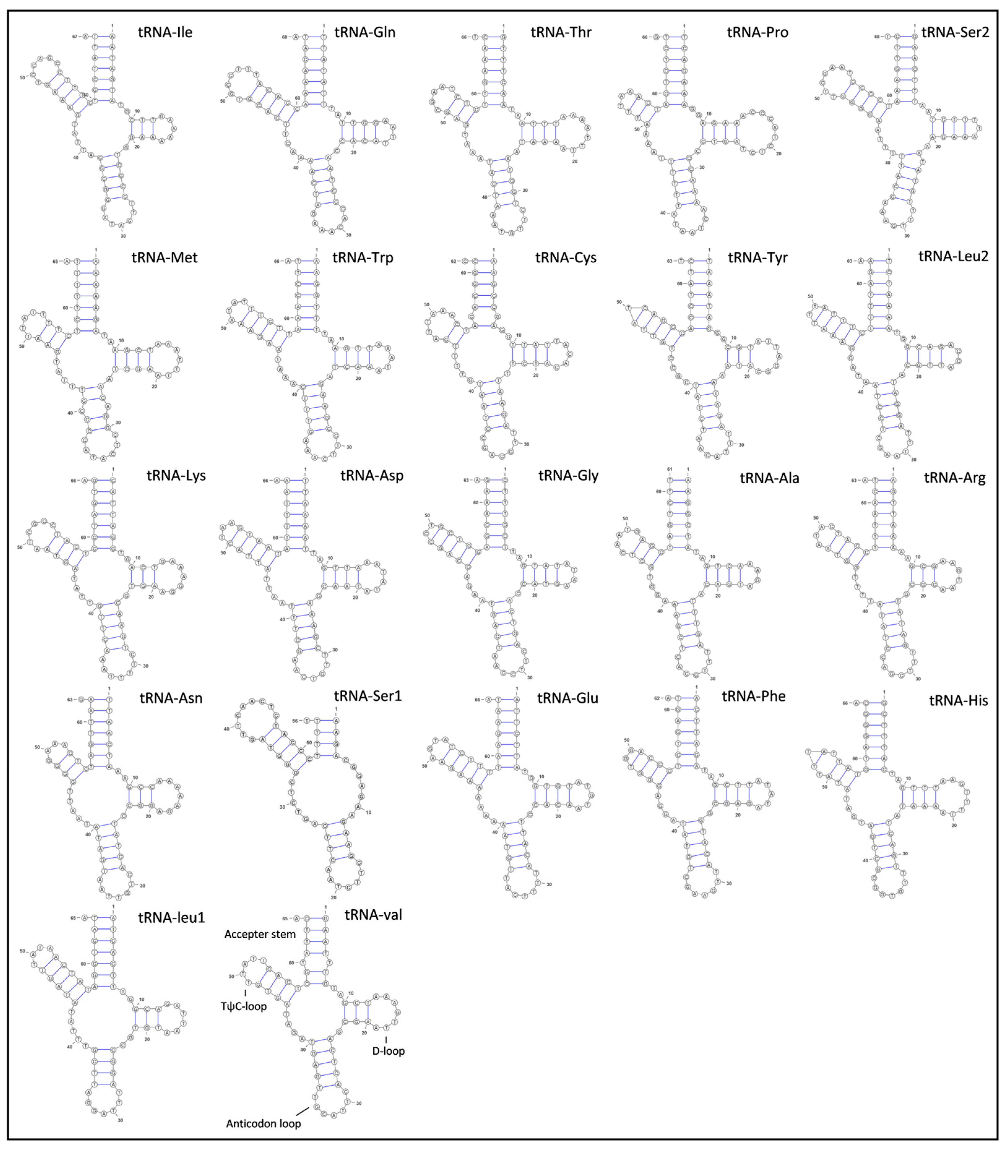 Fishes 08 00238 g004 Fishes 08 00238 g004