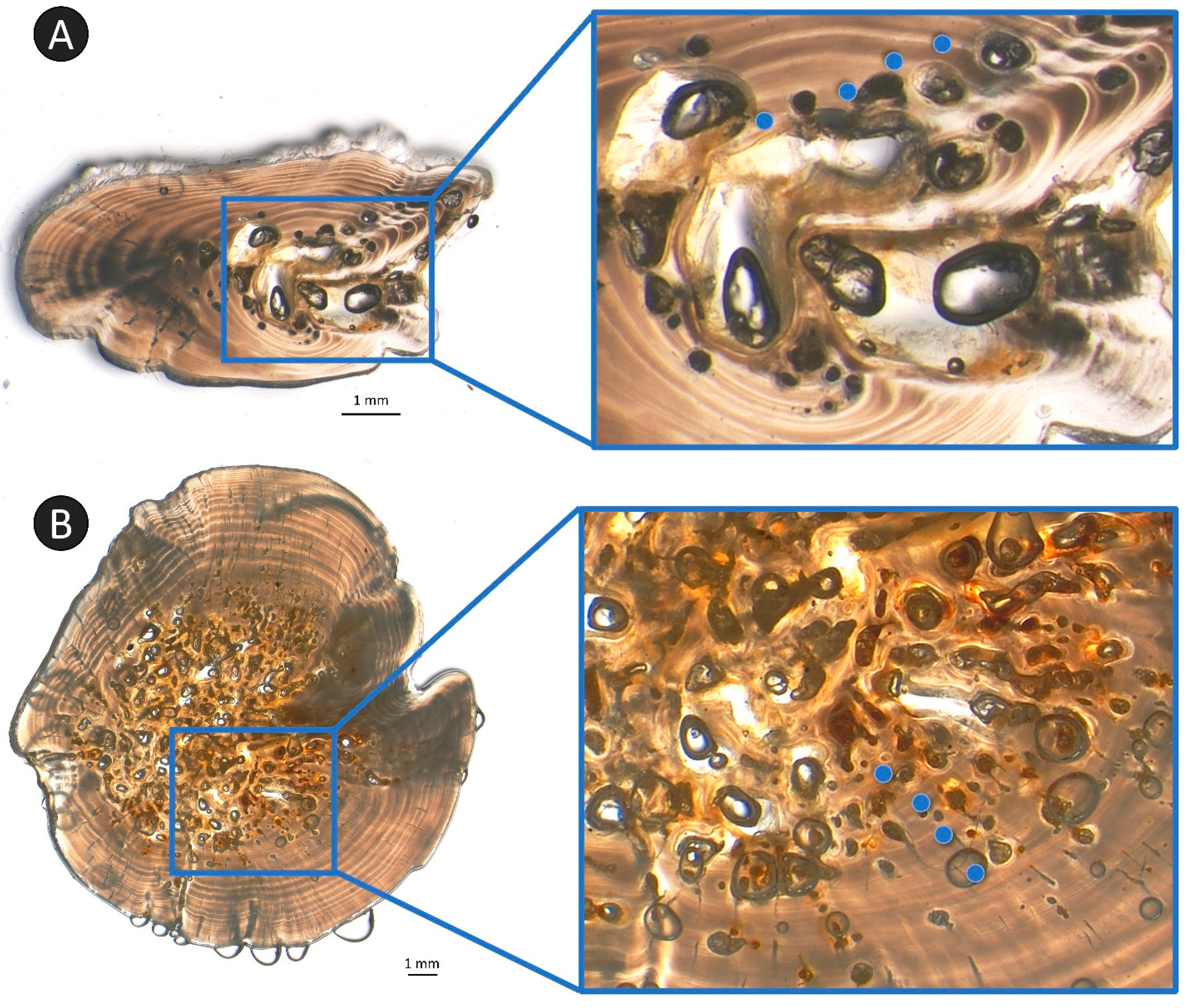 Fishes 08 00239 g009
