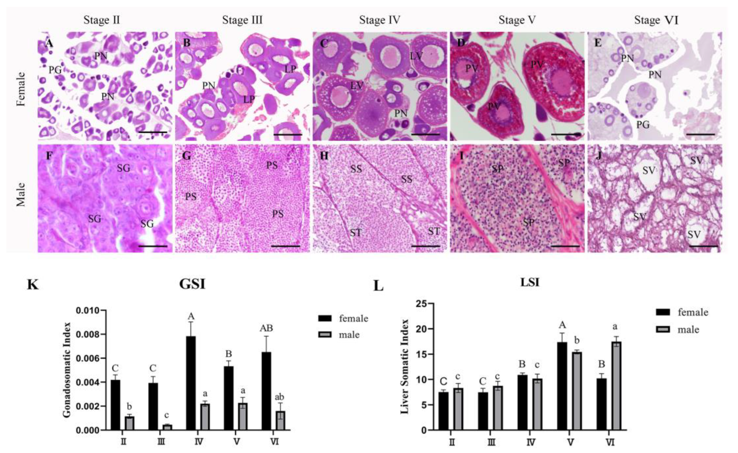 Fishes 08 00240 g001