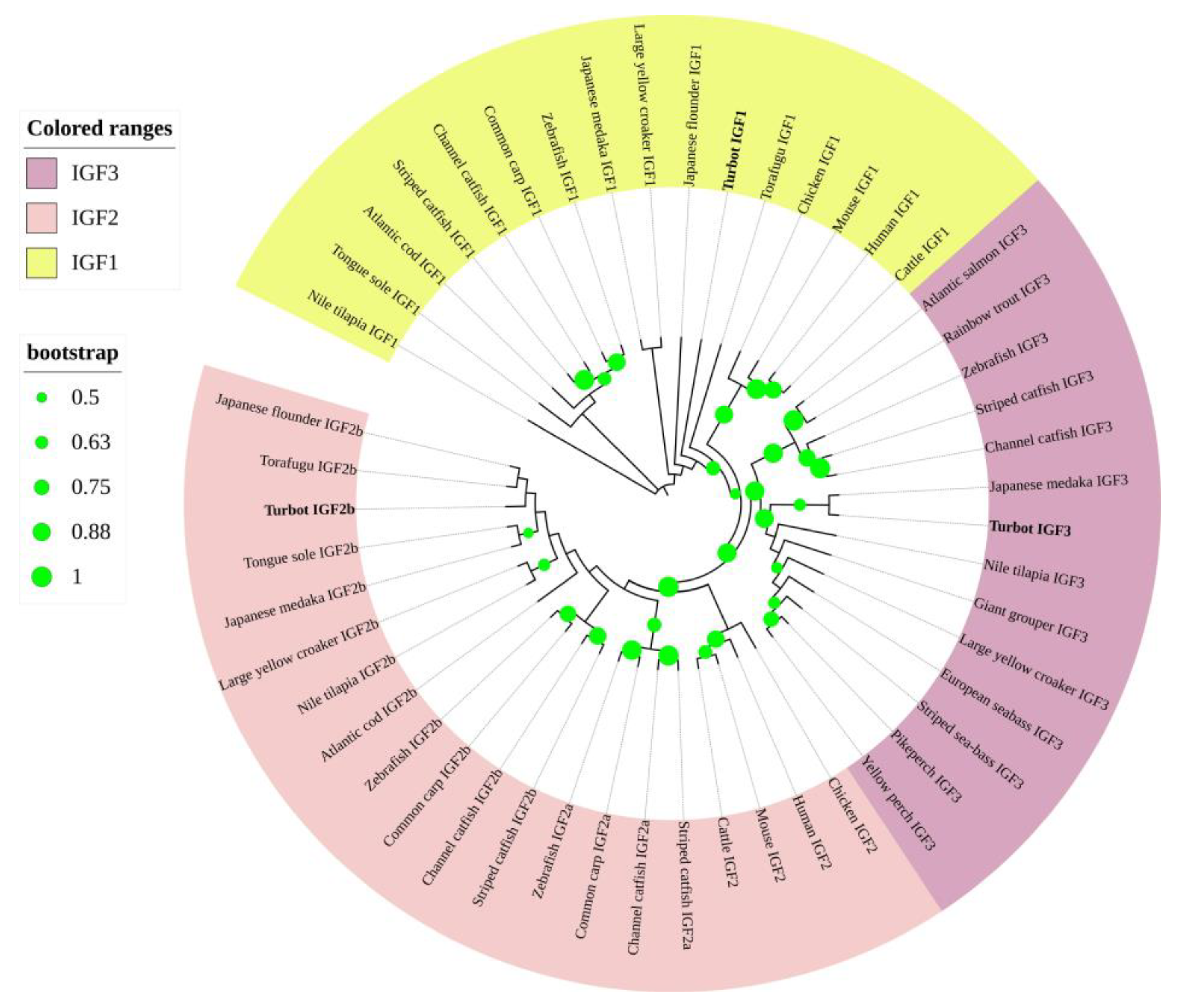 Fishes 08 00240 g004