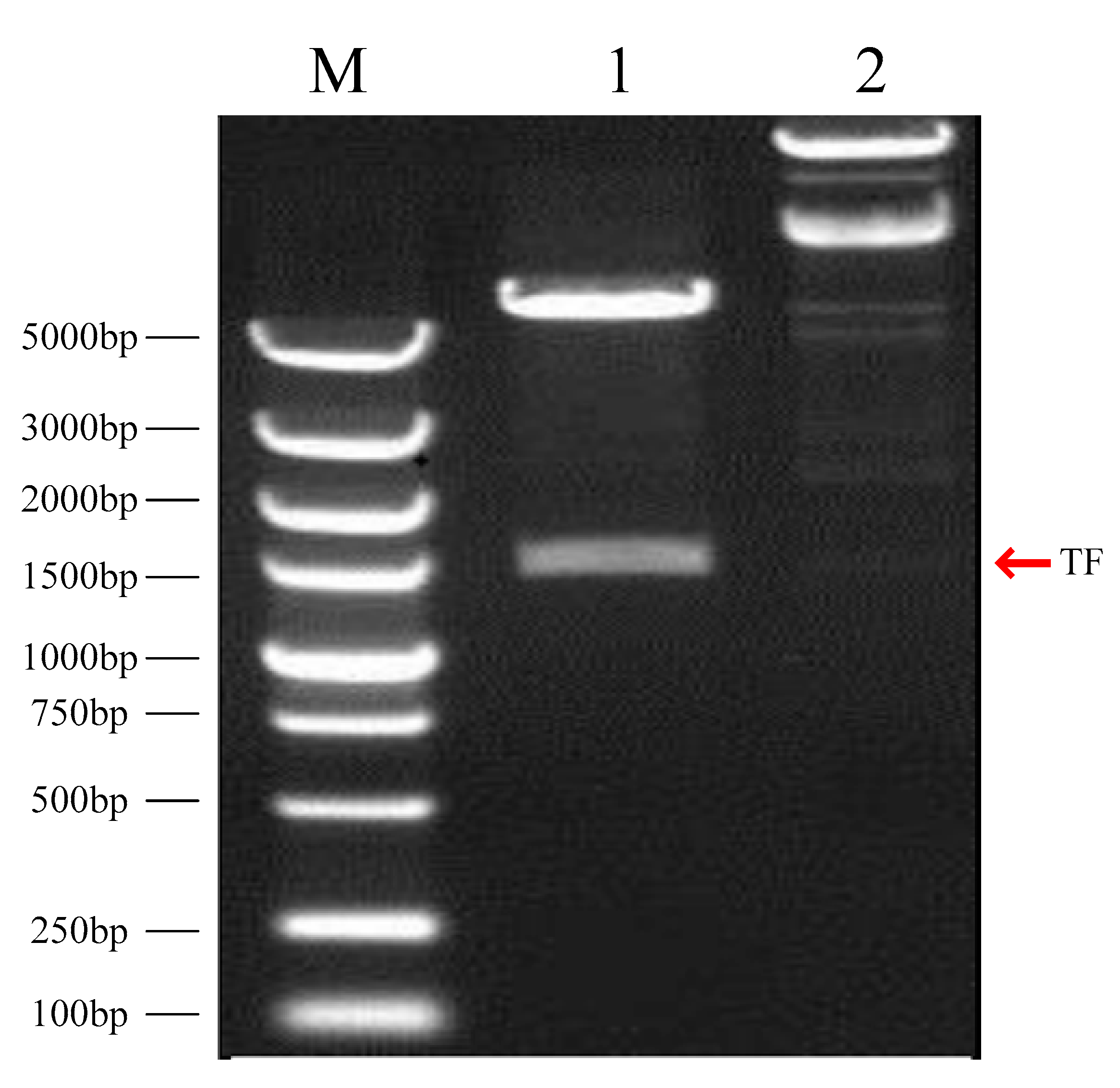 Fishes 08 00241 g001