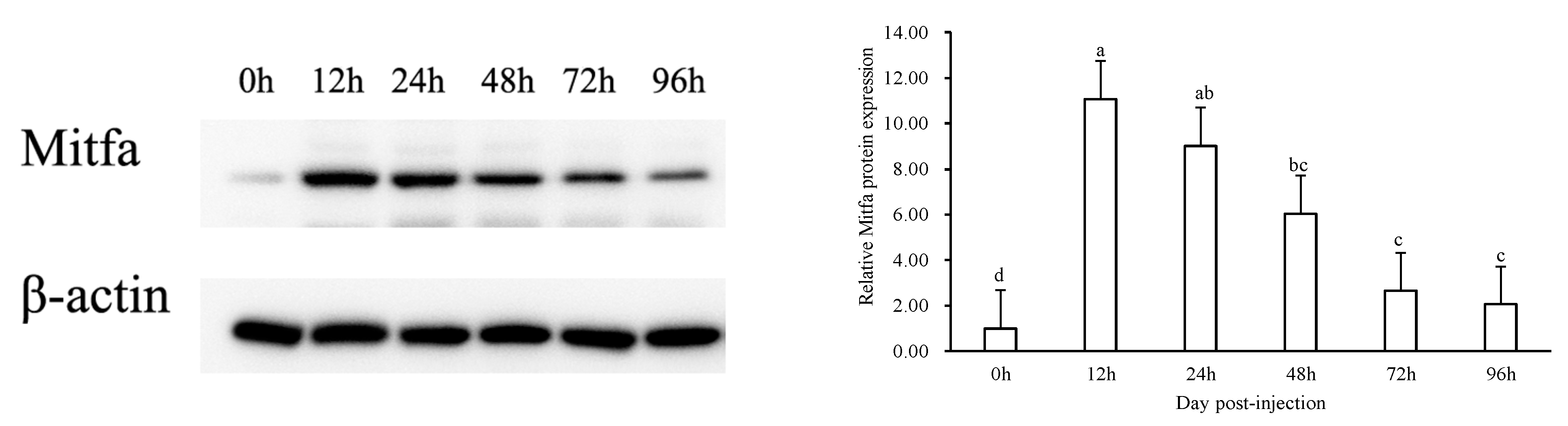 Fishes 08 00241 g006