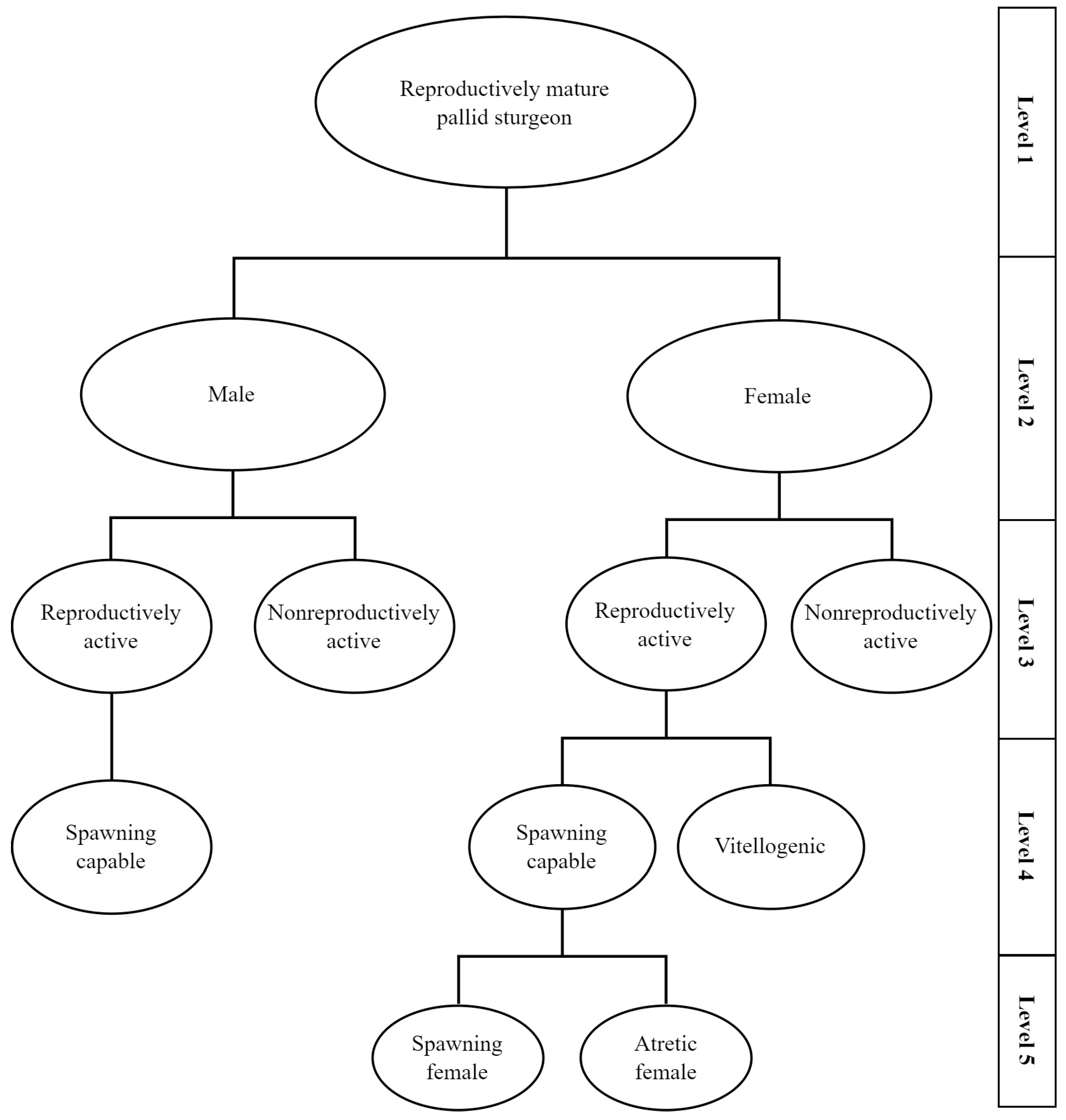Fishes 08 00243 g002 Fishes 08 00243 g002