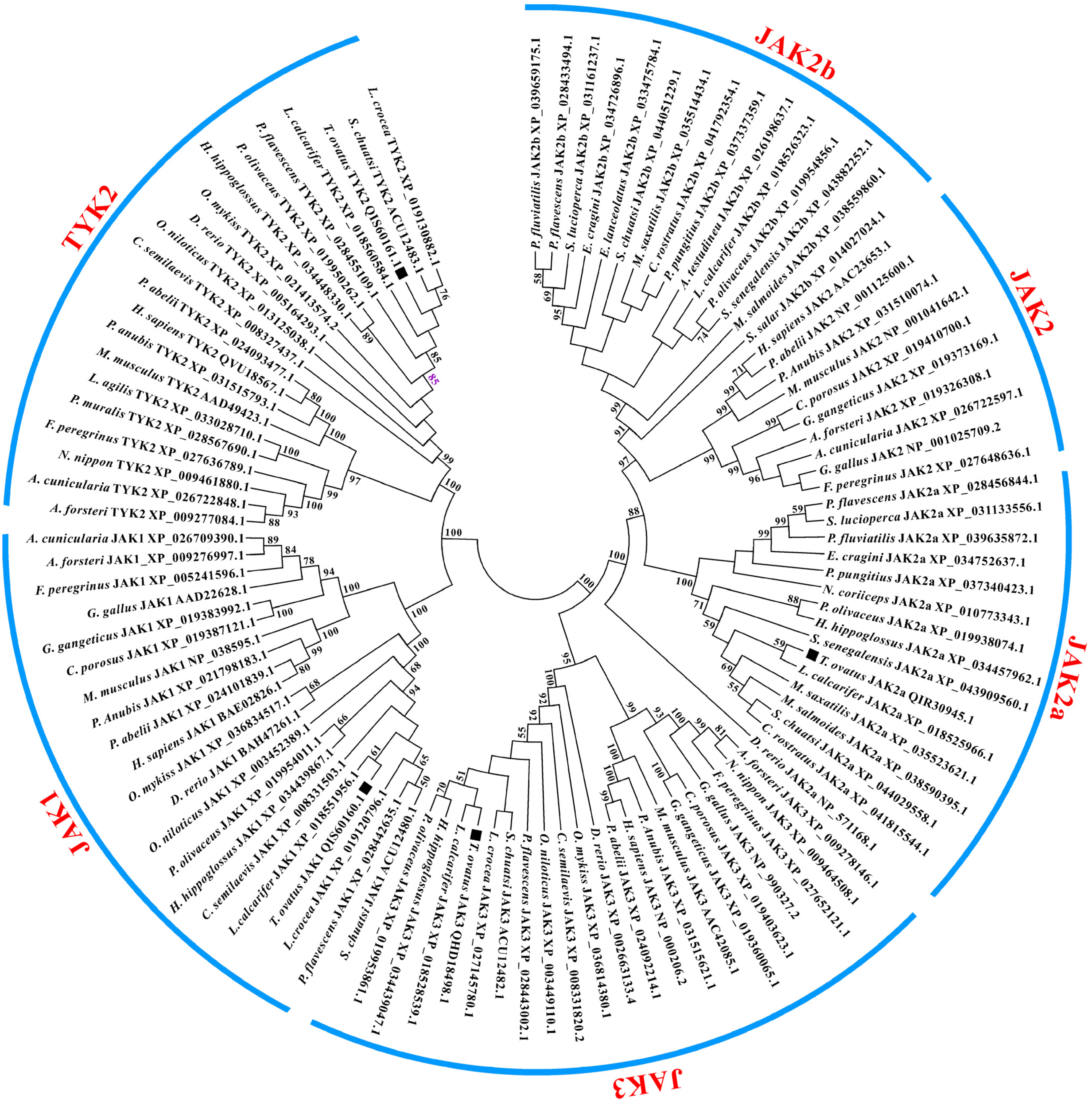 Fishes 08 00245 g005