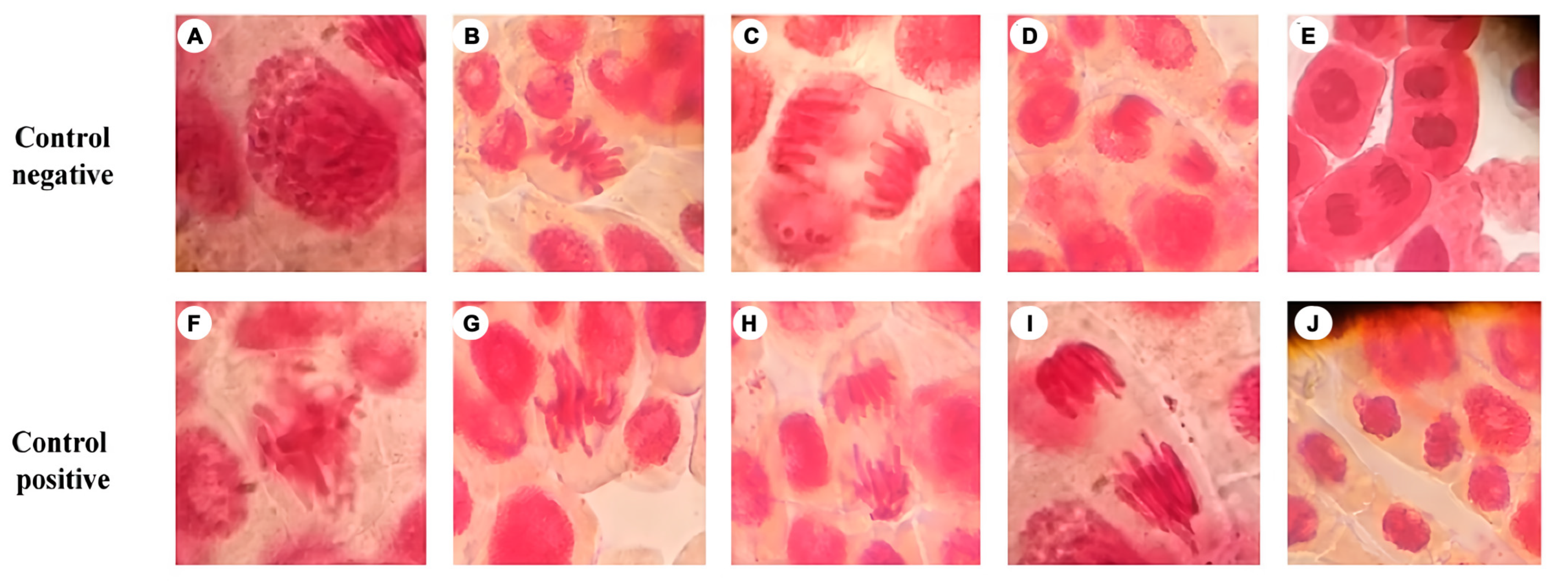 Fishes 08 00246 g002