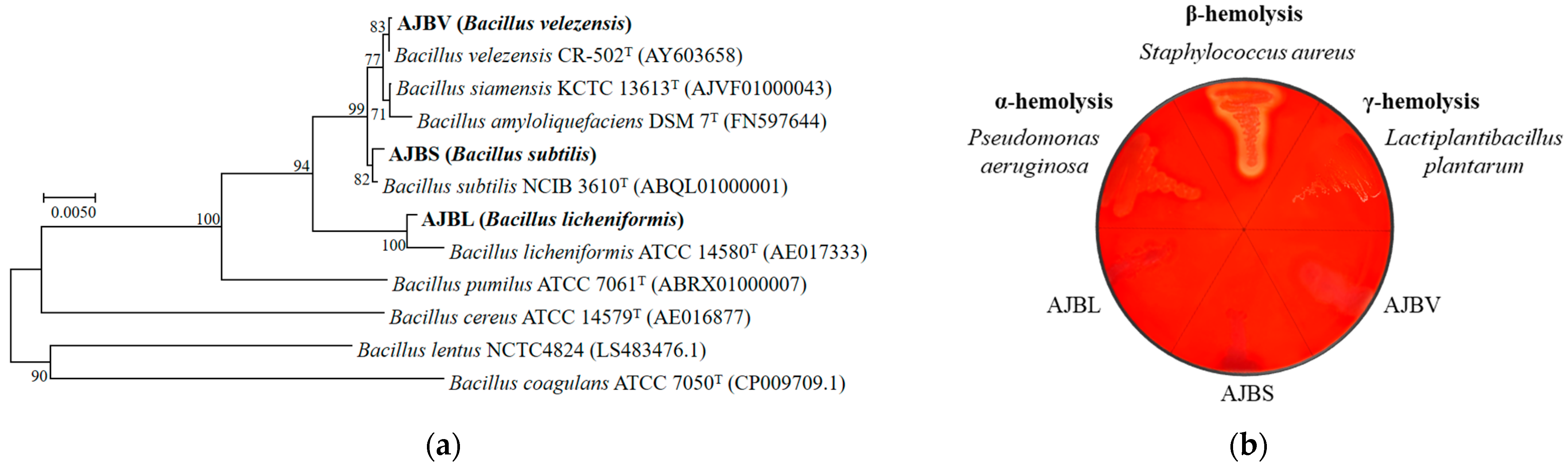 Fishes 08 00247 g001 Fishes 08 00247 g001
