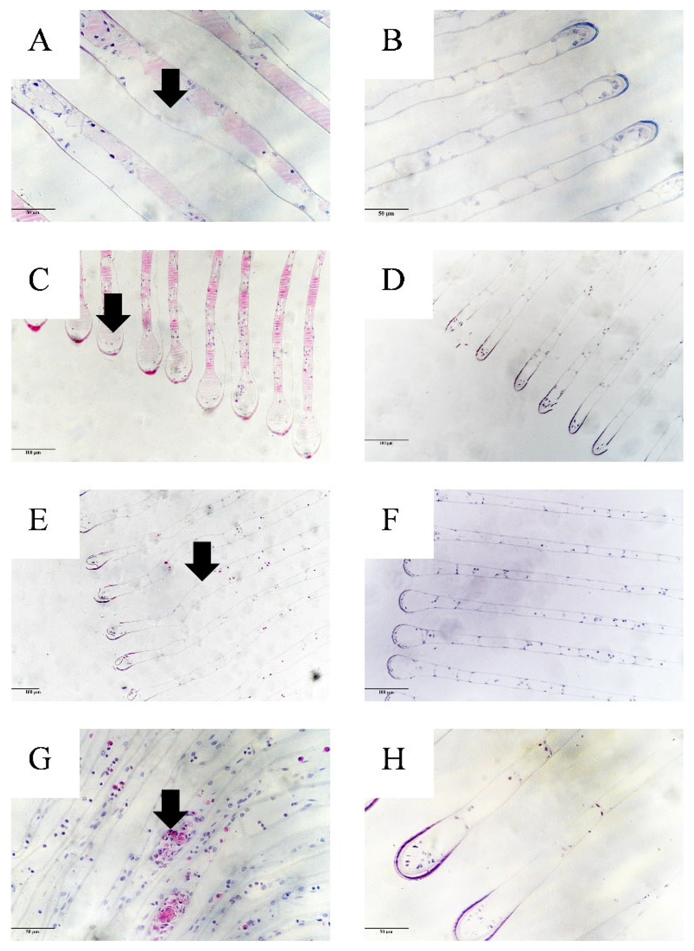 Fishes 08 00249 g004 Fishes 08 00249 g004