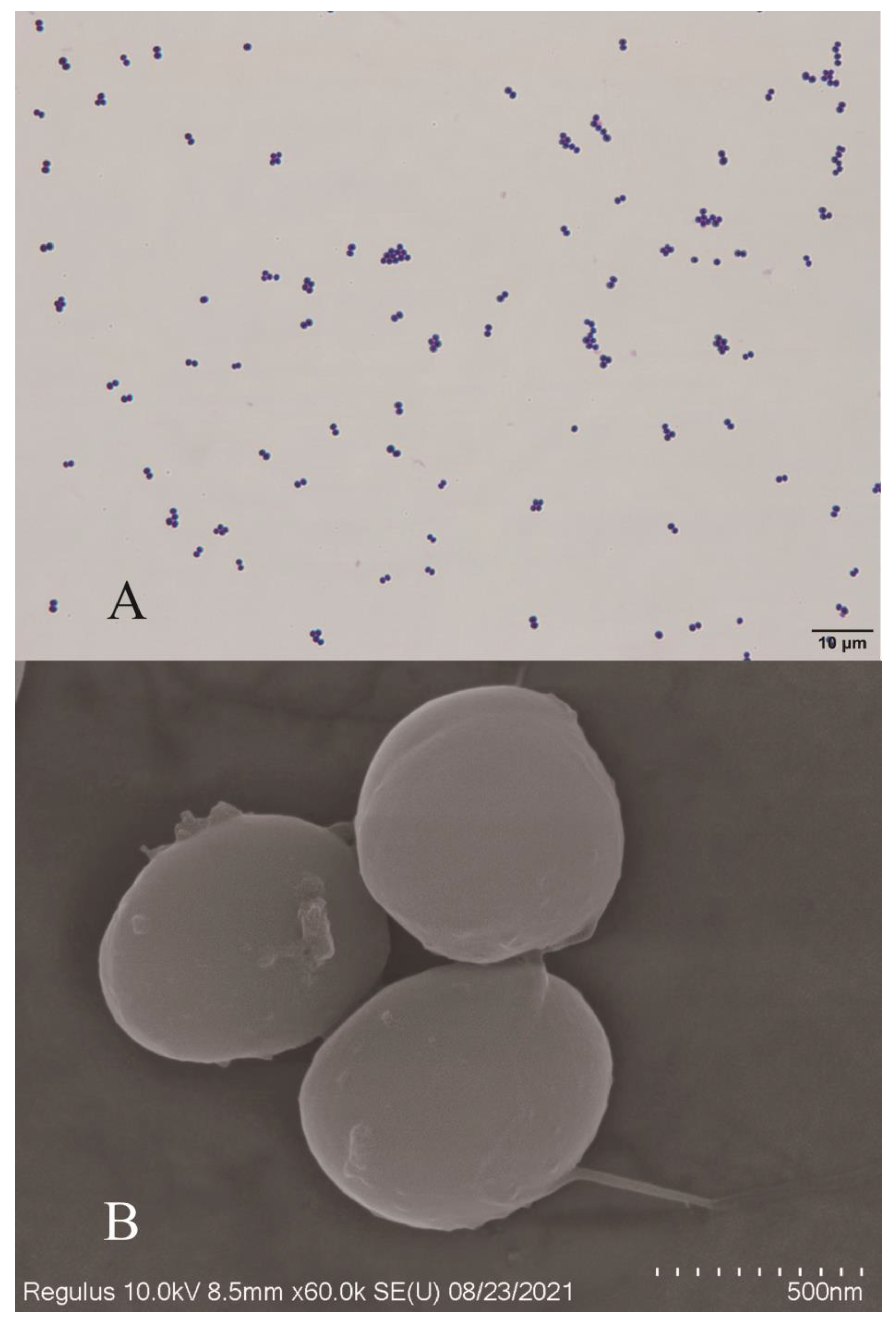 Fishes 08 00250 g002