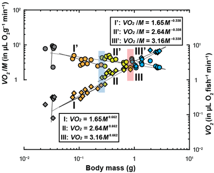 Fishes 08 00257 i001