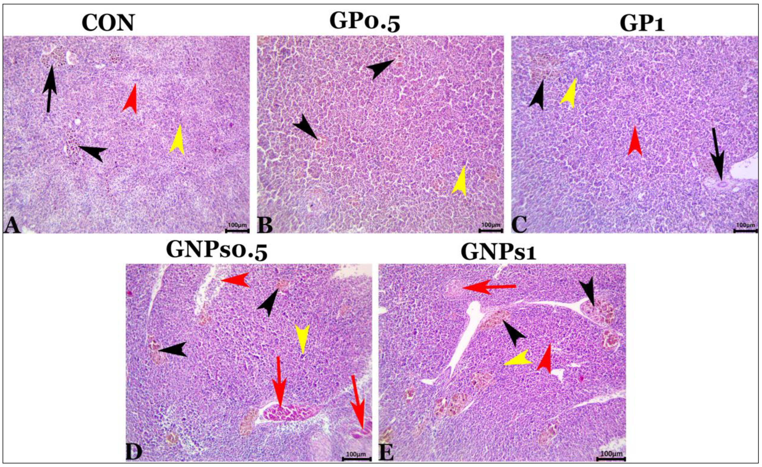 Fishes 08 00259 g004