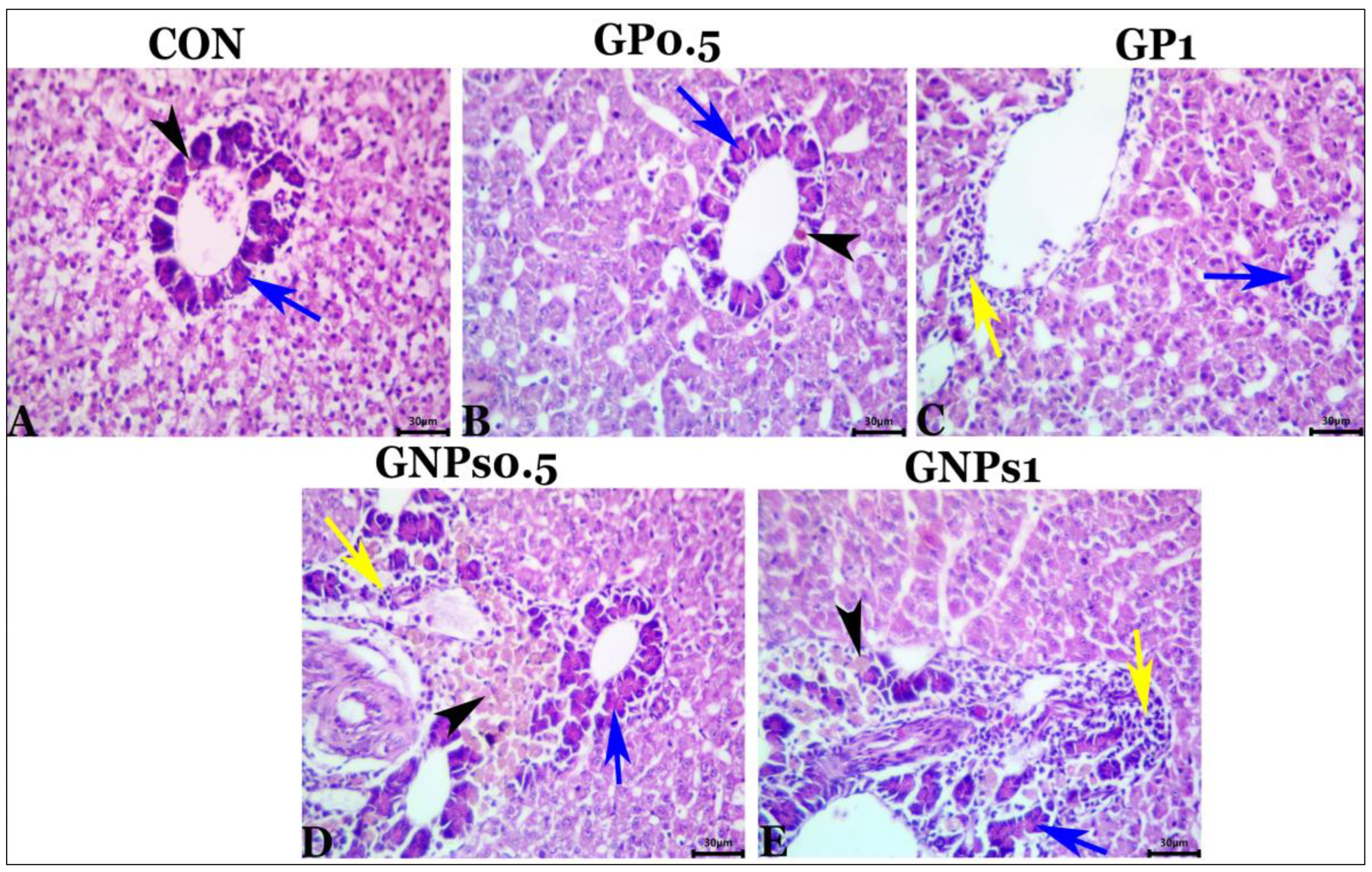 Fishes 08 00259 g005