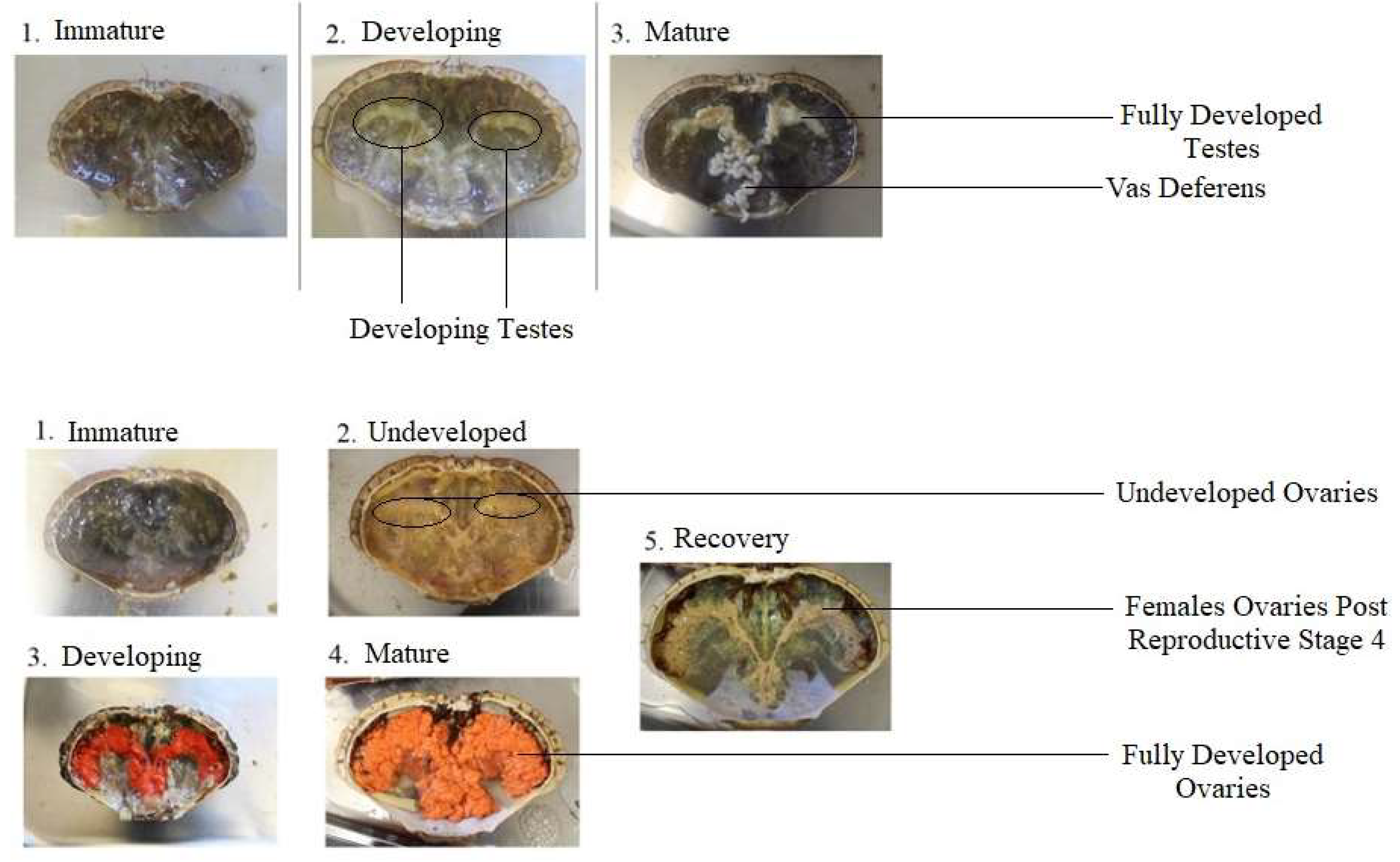 Fishes 08 00260 g002