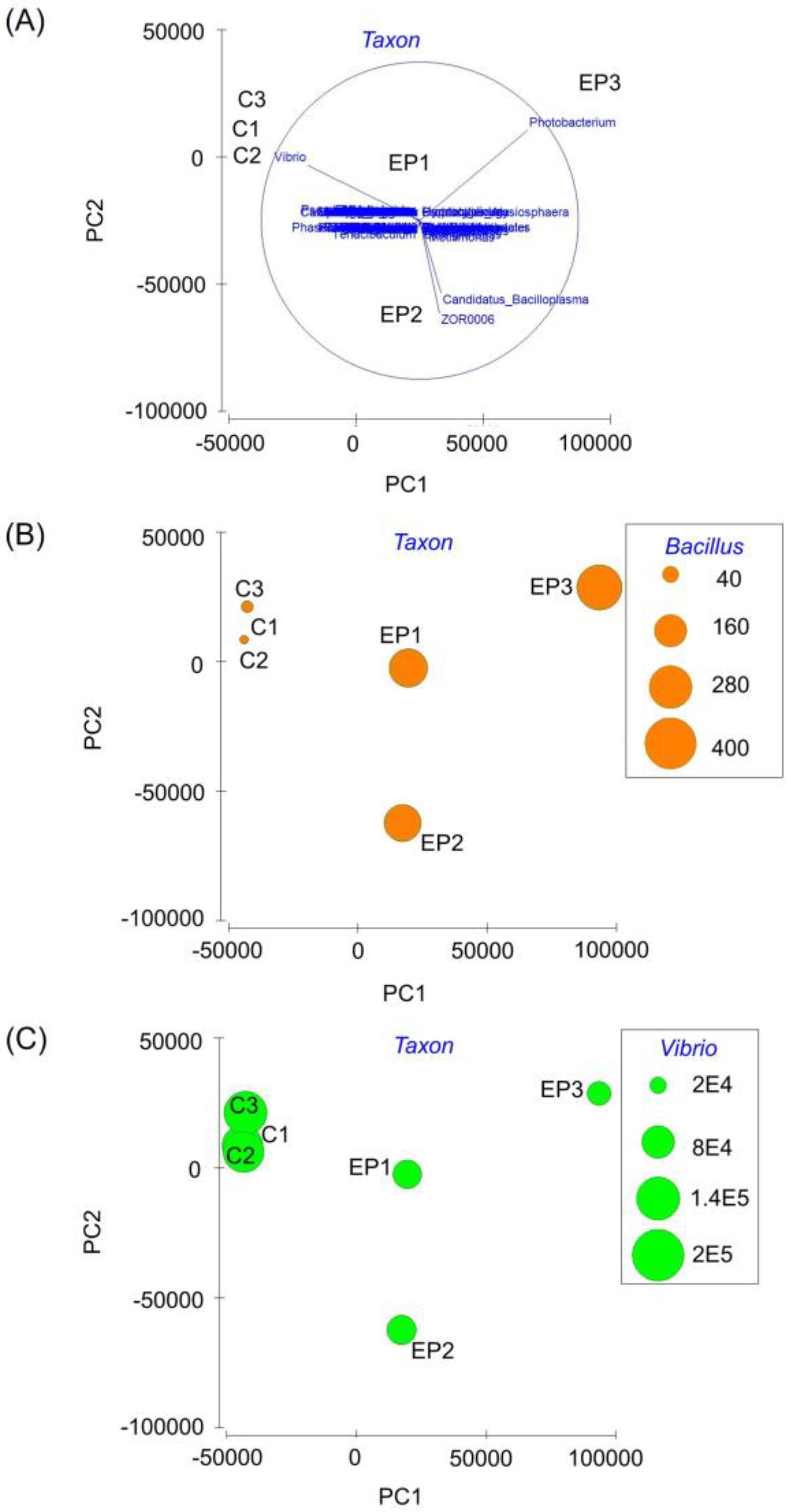 Fishes 08 00264 g006 Fishes 08 00264 g006