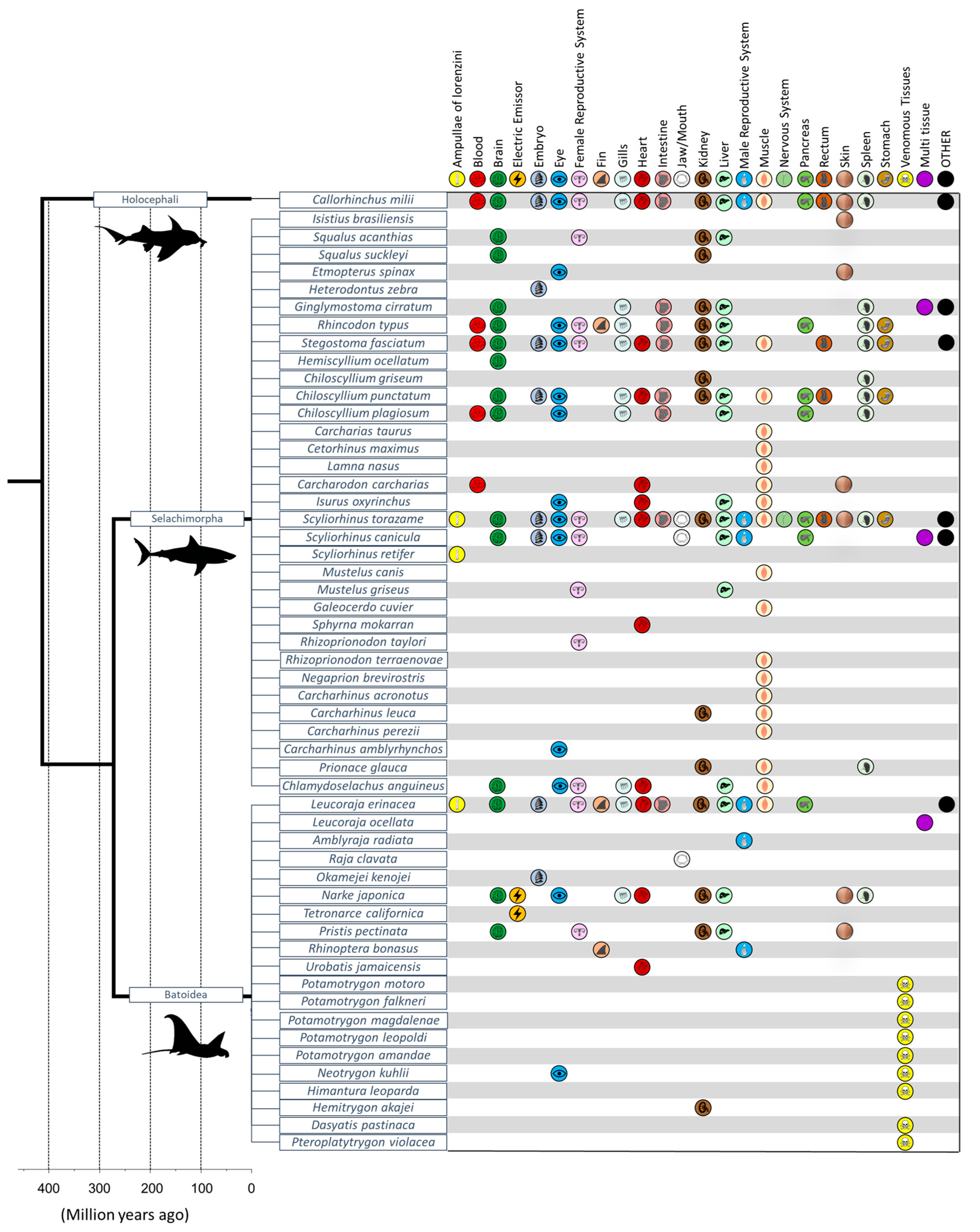 Fishes 08 00271 g004
