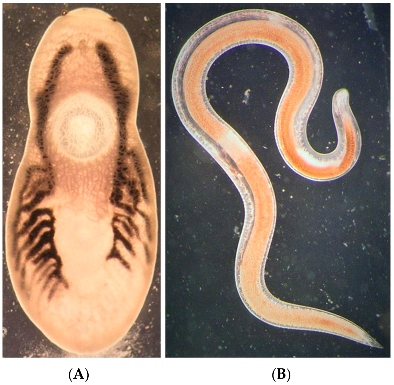 Fishes 08 00273 g005