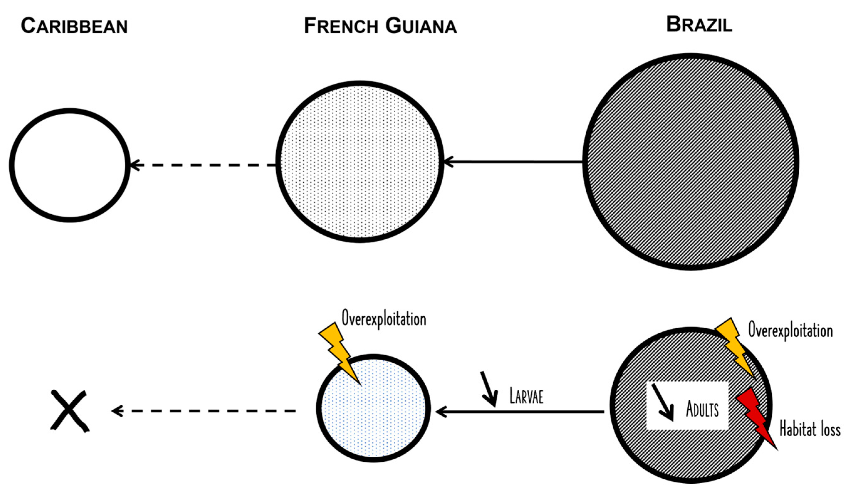 Fishes 08 00274 g007