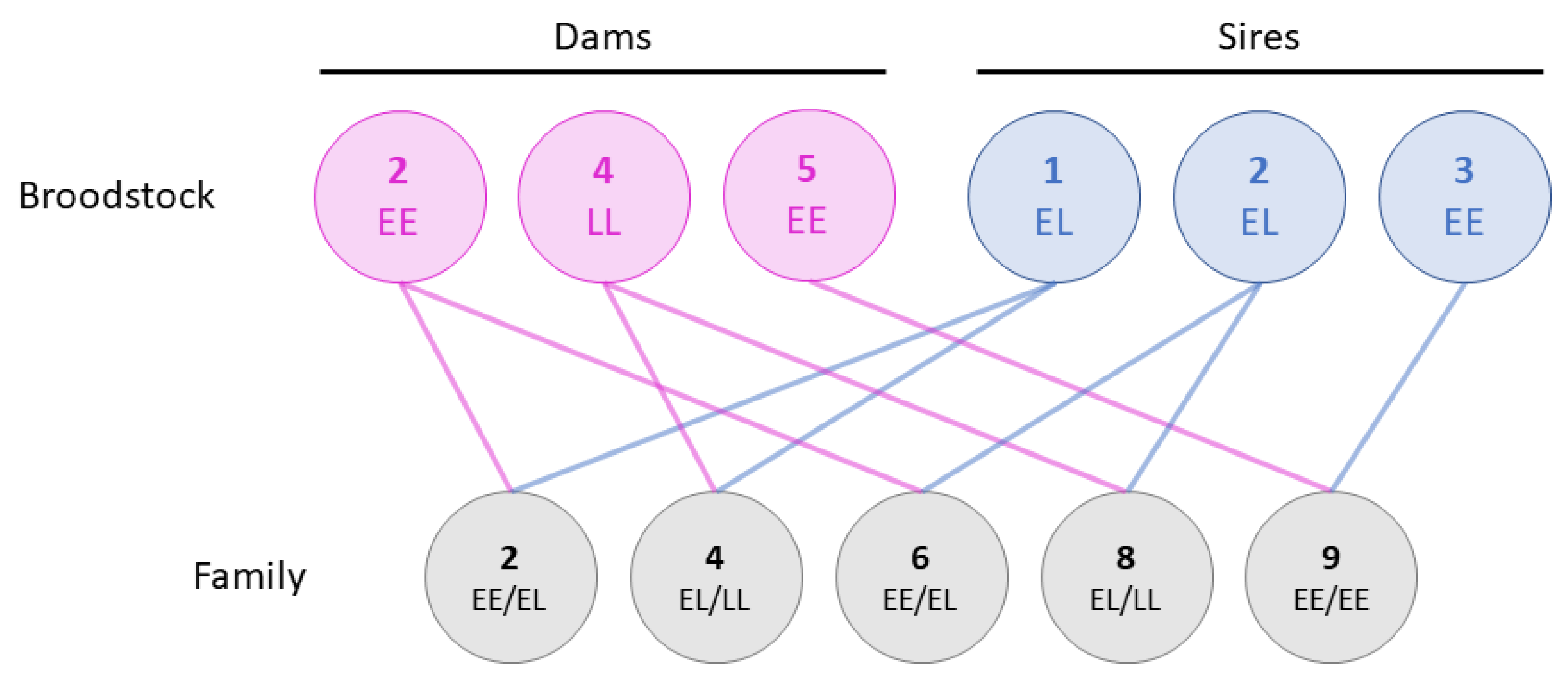 Fishes 08 00275 g001 Fishes 08 00275 g001