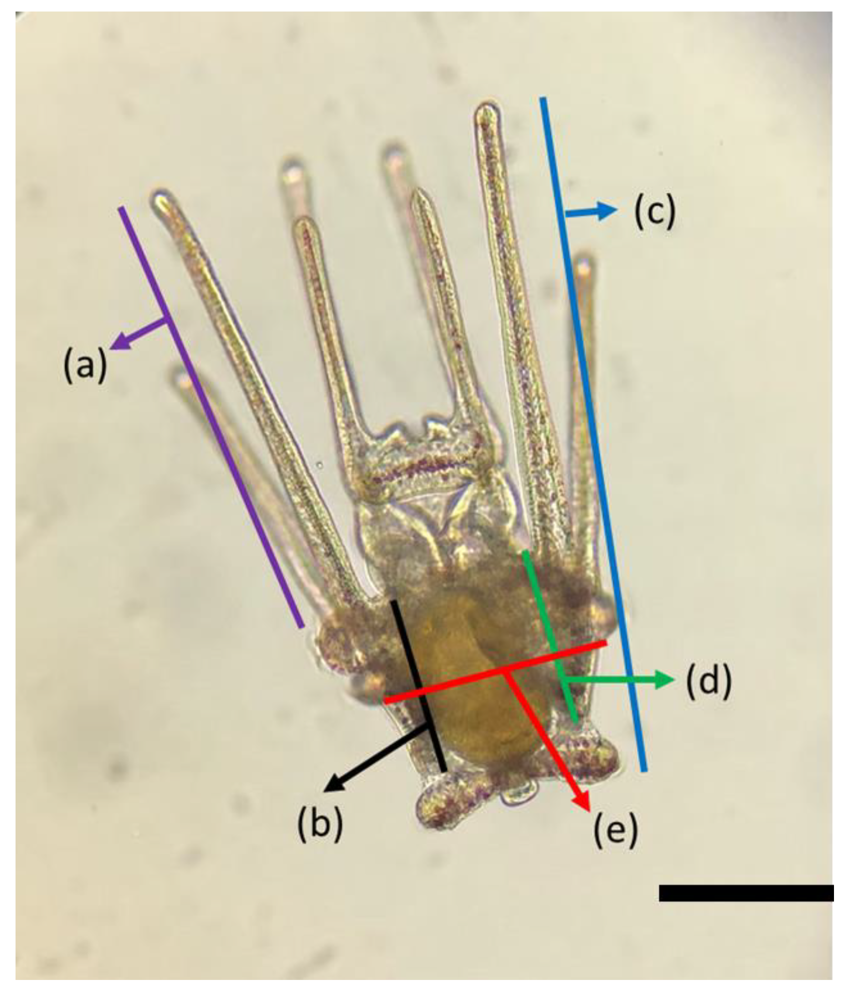 Fishes 08 00278 g002