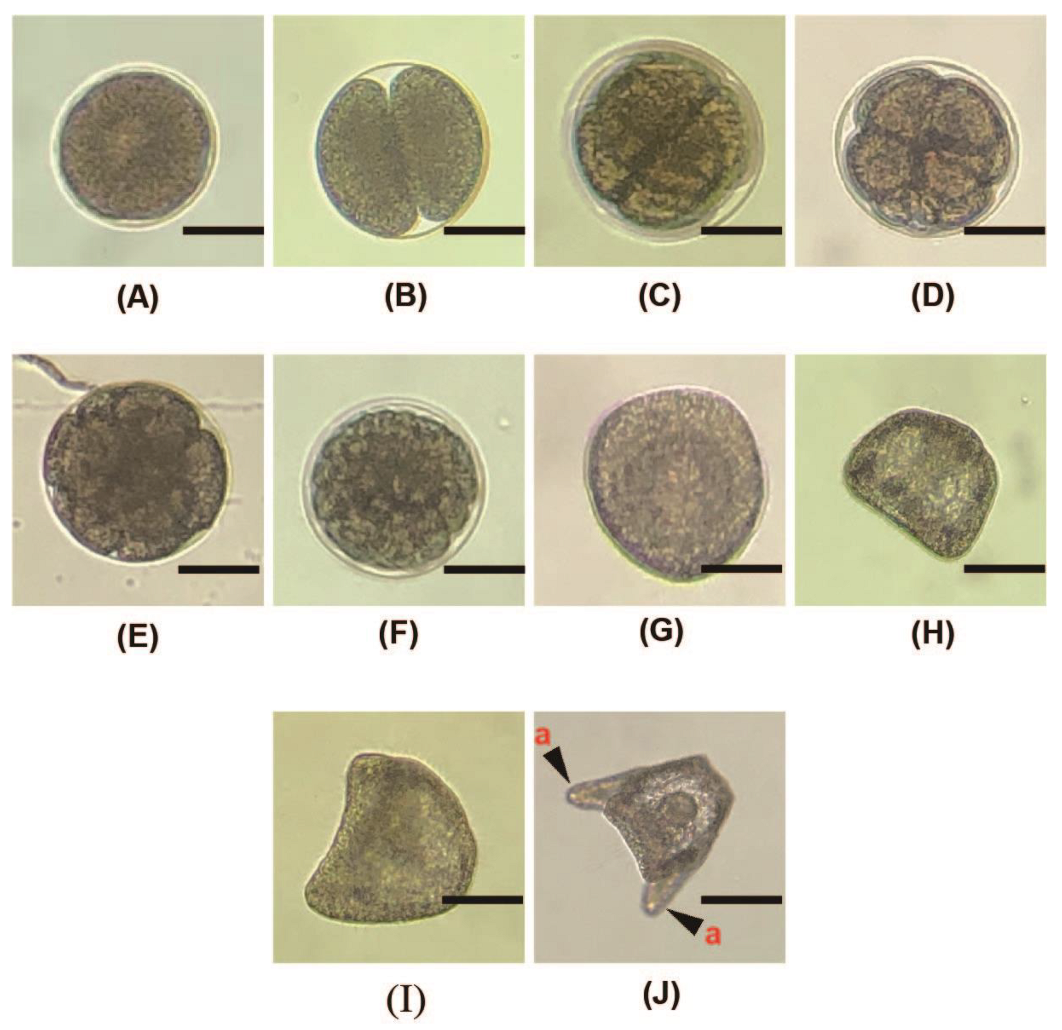 Fishes 08 00278 g005