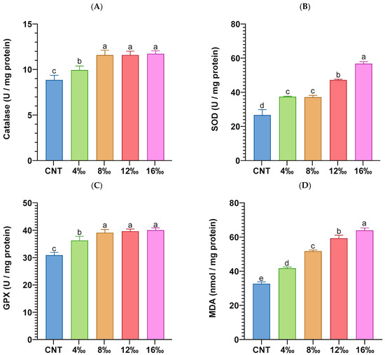 Growth Performance, Physiological Responses, and Histoarchitectural Changes in Juvenile Pangasianodon hypophthalmus under Different Environmental Salinities Growth Performance, Physiological Responses, and Histoarchitectural Changes in Juvenile Pangasianodon hypophthalmus under Different Environmental Salinities