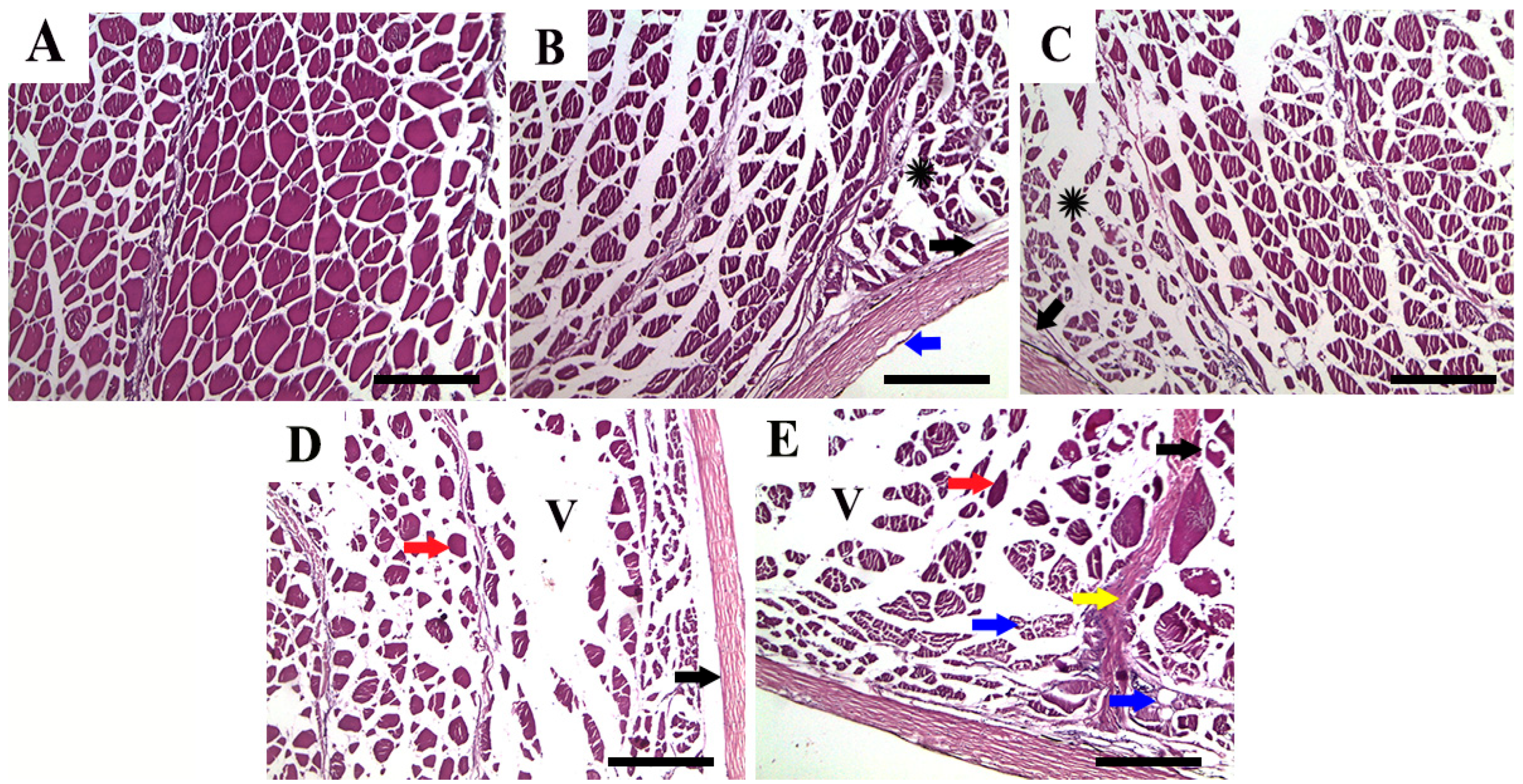 Fishes 08 00282 g005