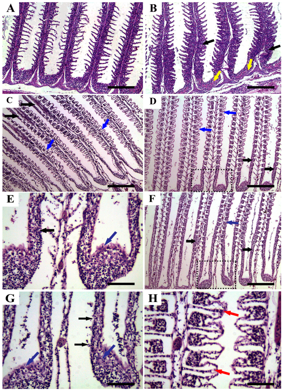 Fishes 08 00282 g007