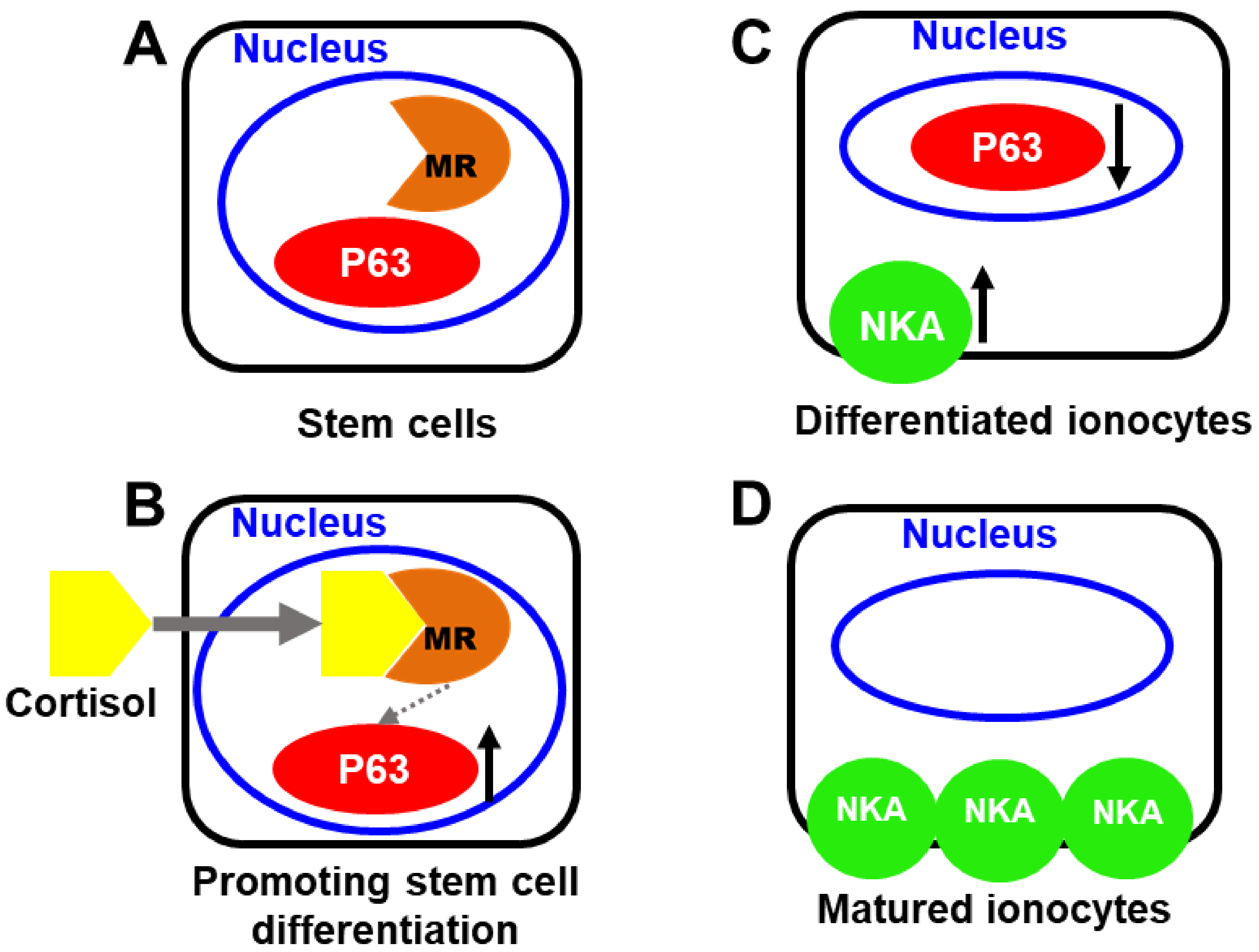 Fishes 08 00283 g006 Fishes 08 00283 g006