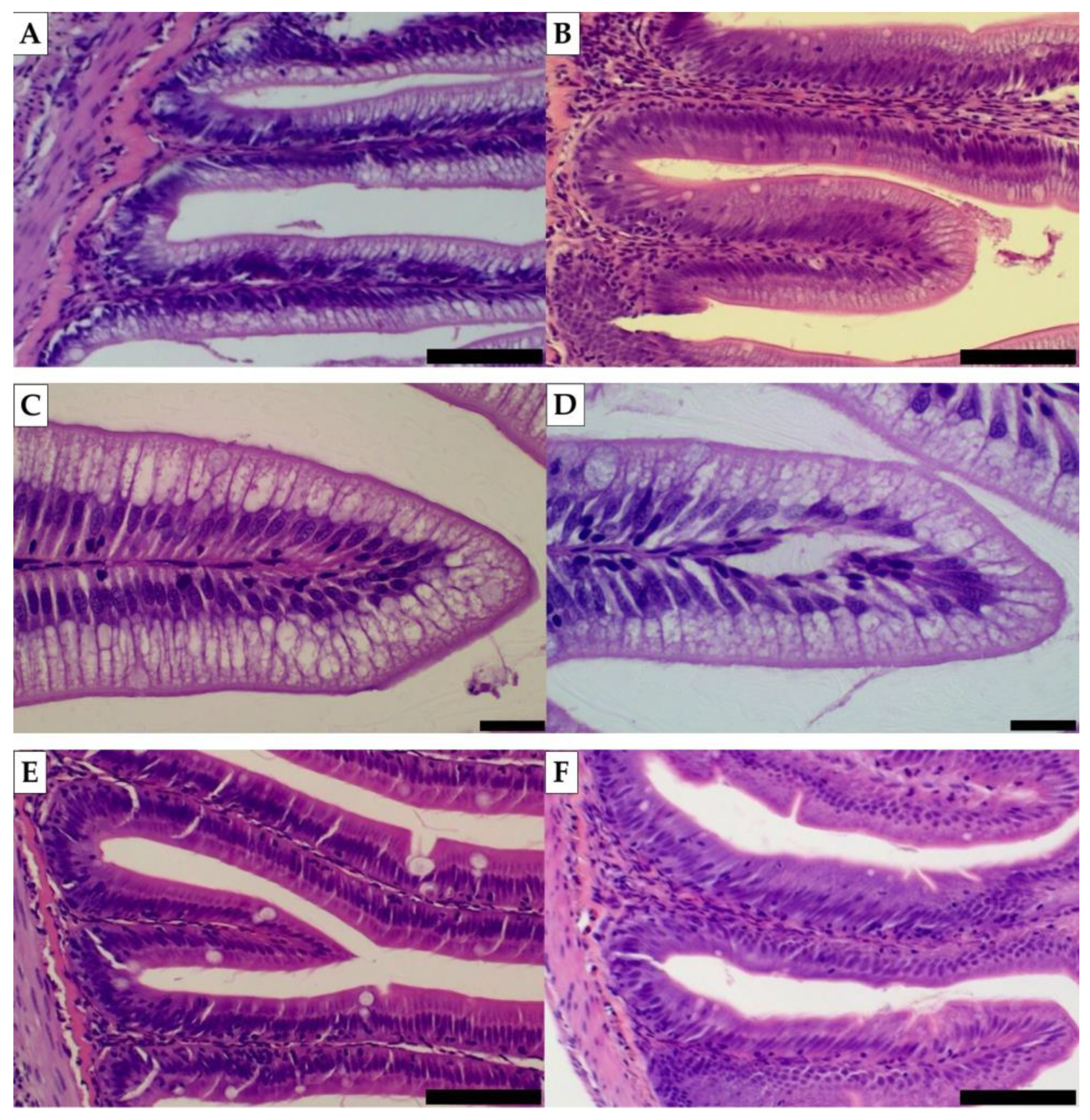 Fishes 08 00284 g002