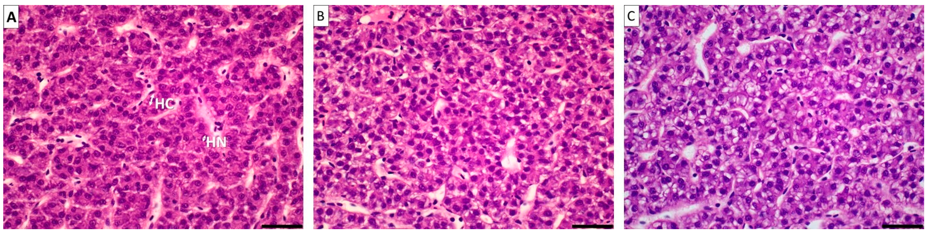 Fishes 08 00286 g002