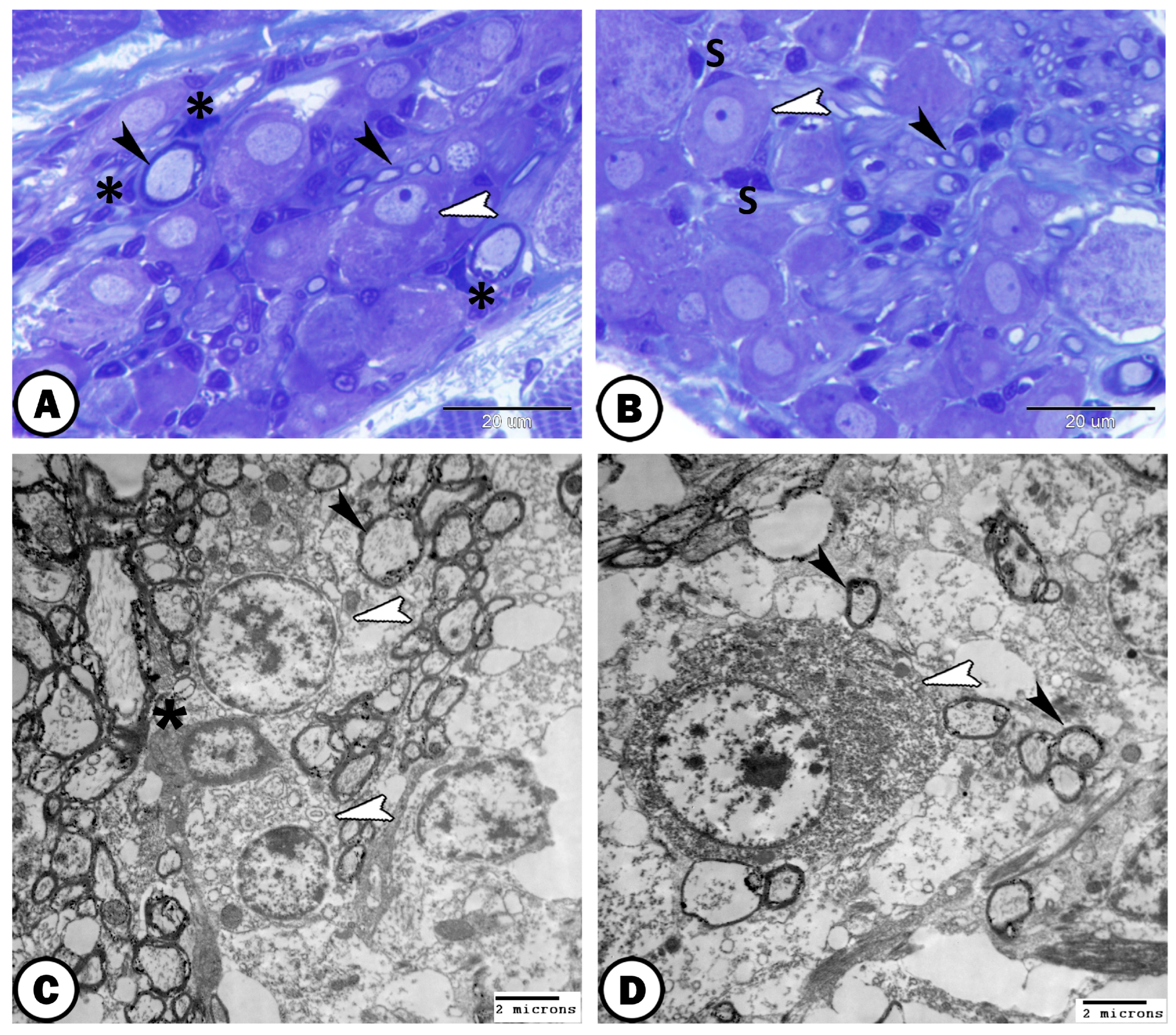 Fishes 08 00289 g002 Fishes 08 00289 g002