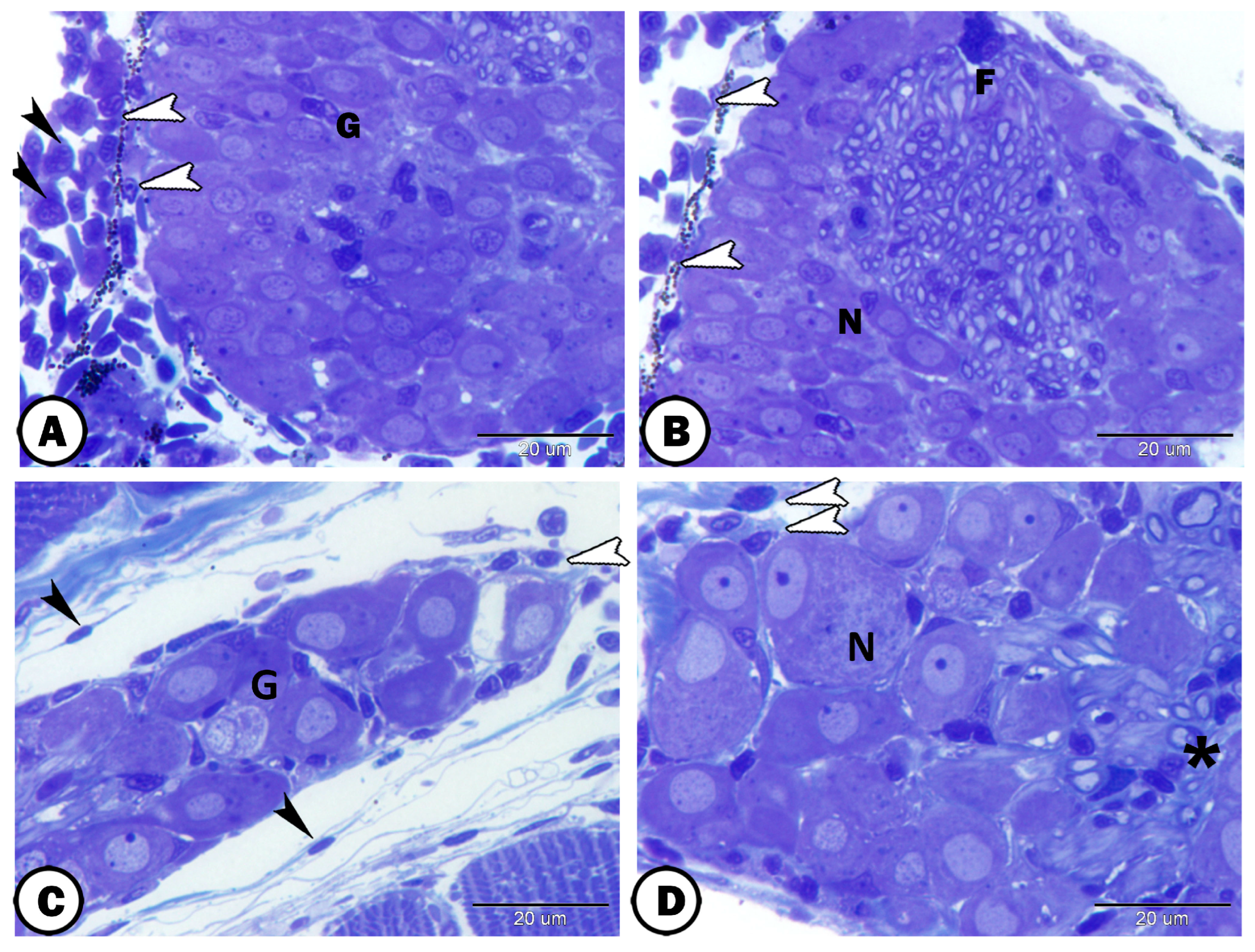 Fishes 08 00289 g011 Fishes 08 00289 g011