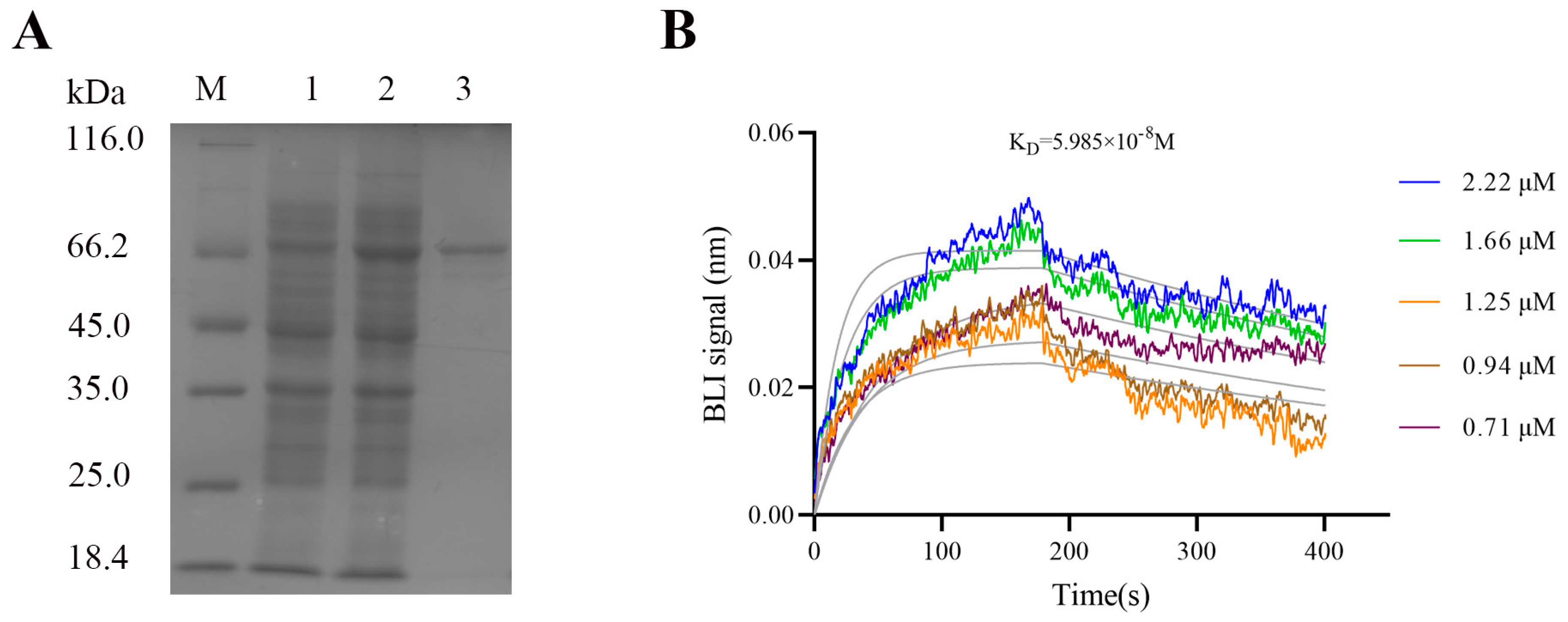 Fishes 08 00290 g002