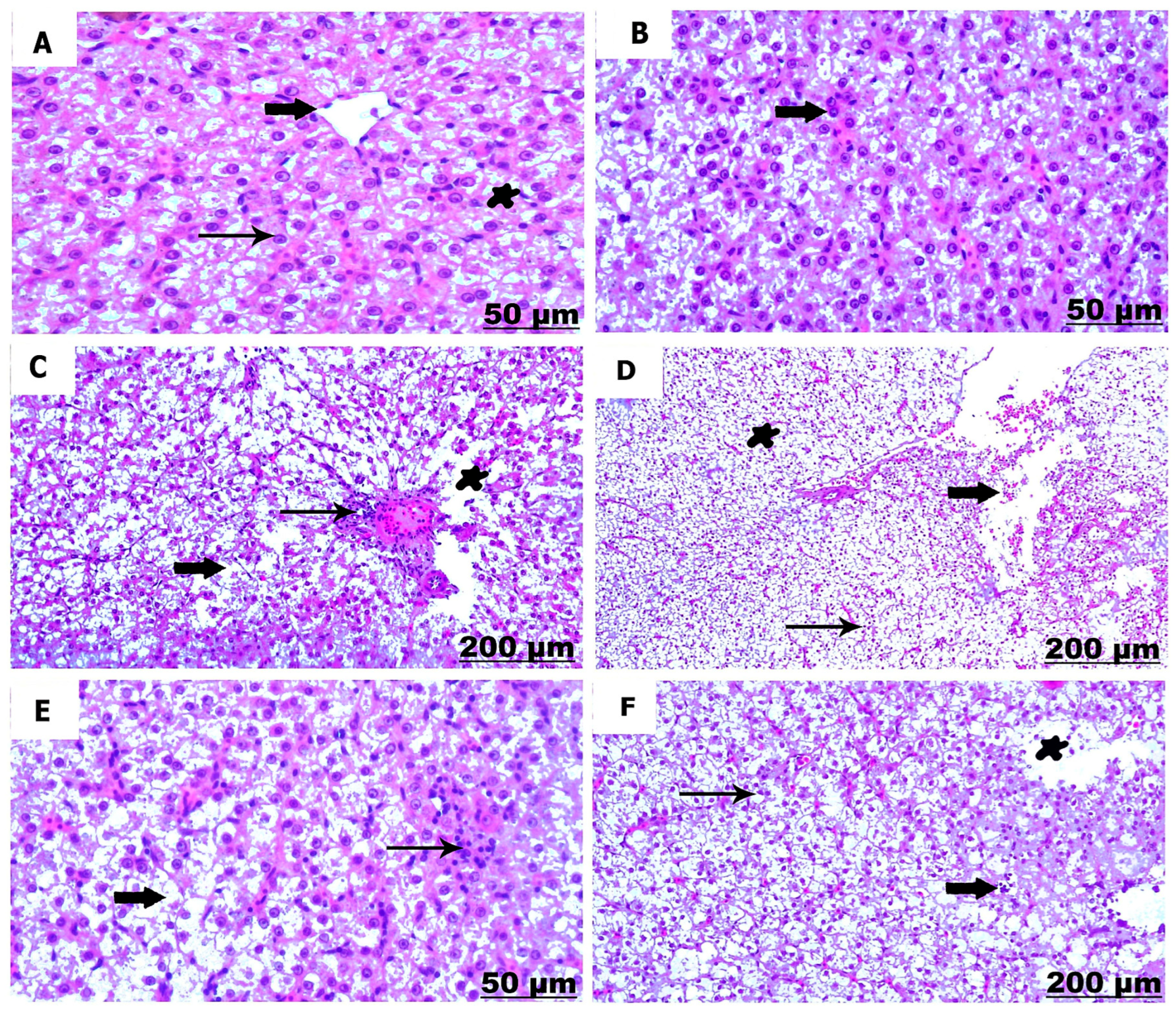 Fishes 08 00298 g007 Fishes 08 00298 g007