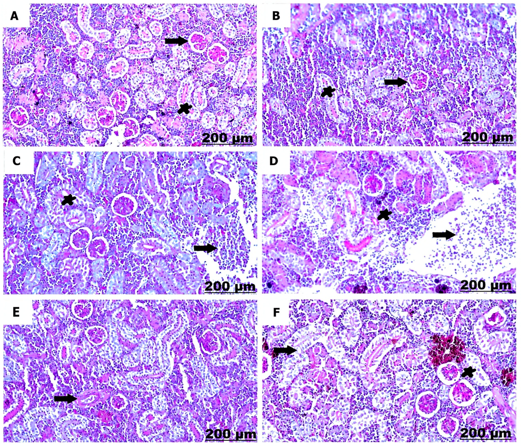 Fishes 08 00298 g008 Fishes 08 00298 g008