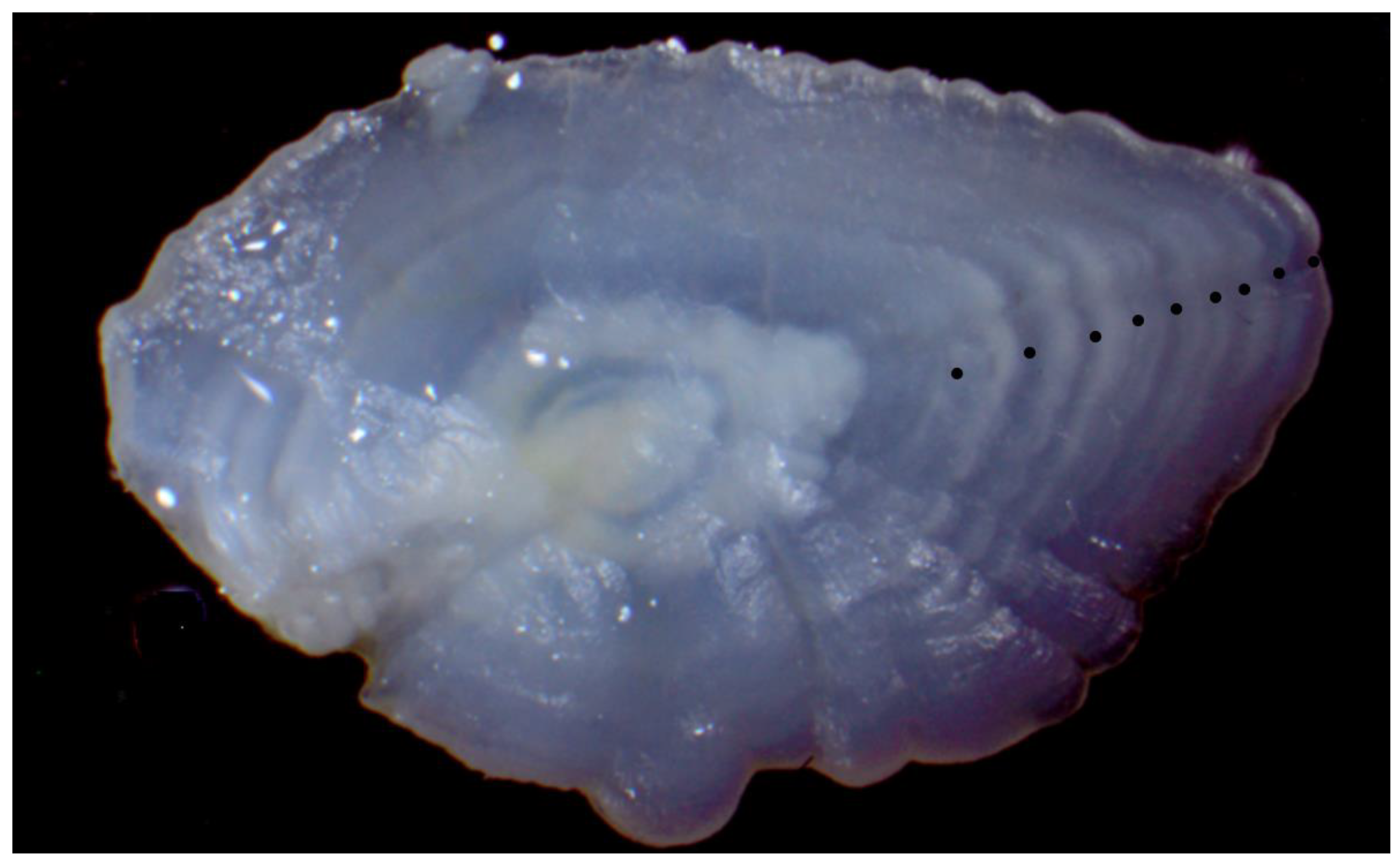 Fishes 08 00301 g003