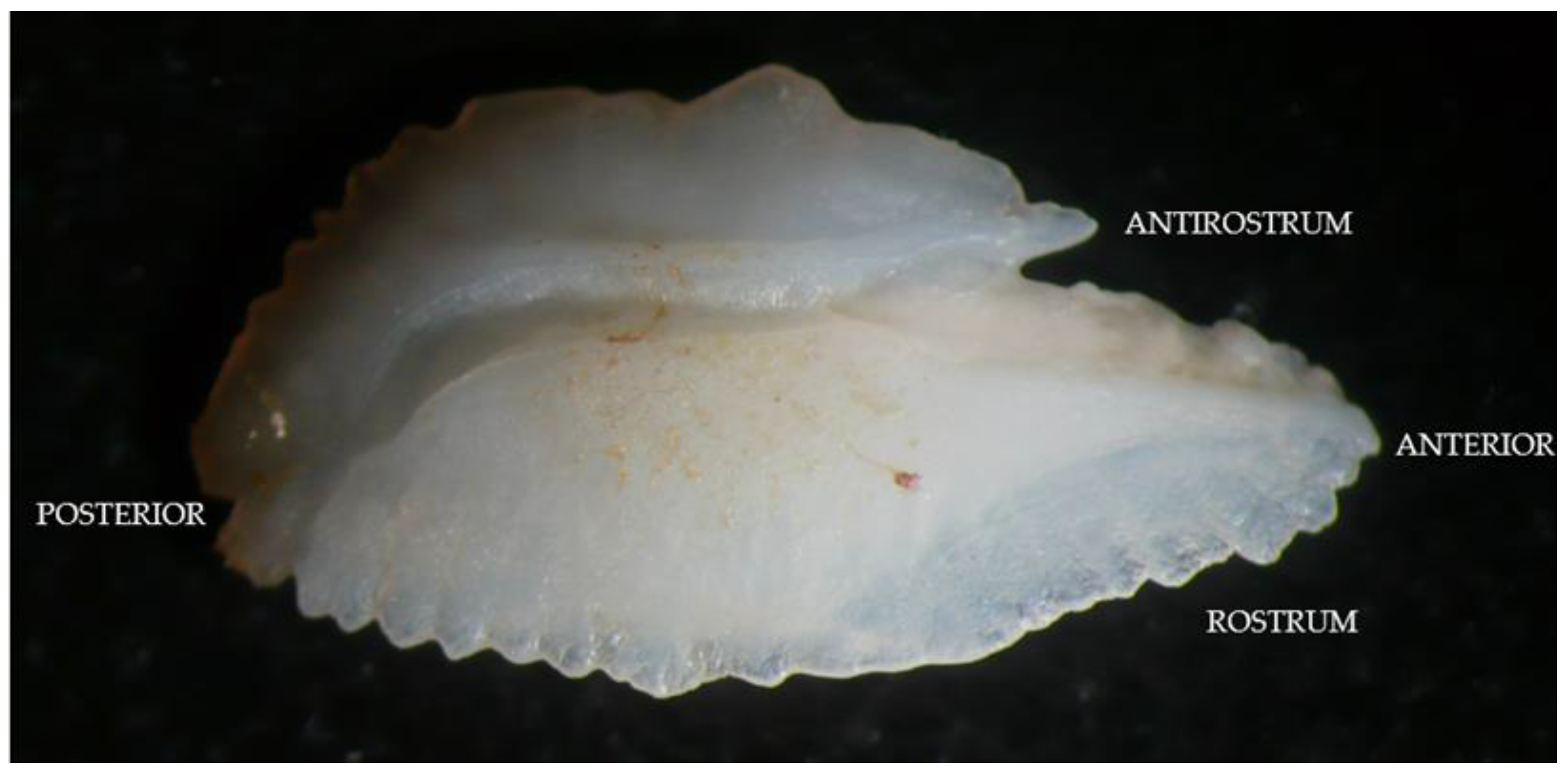 Fishes 08 00301 g006