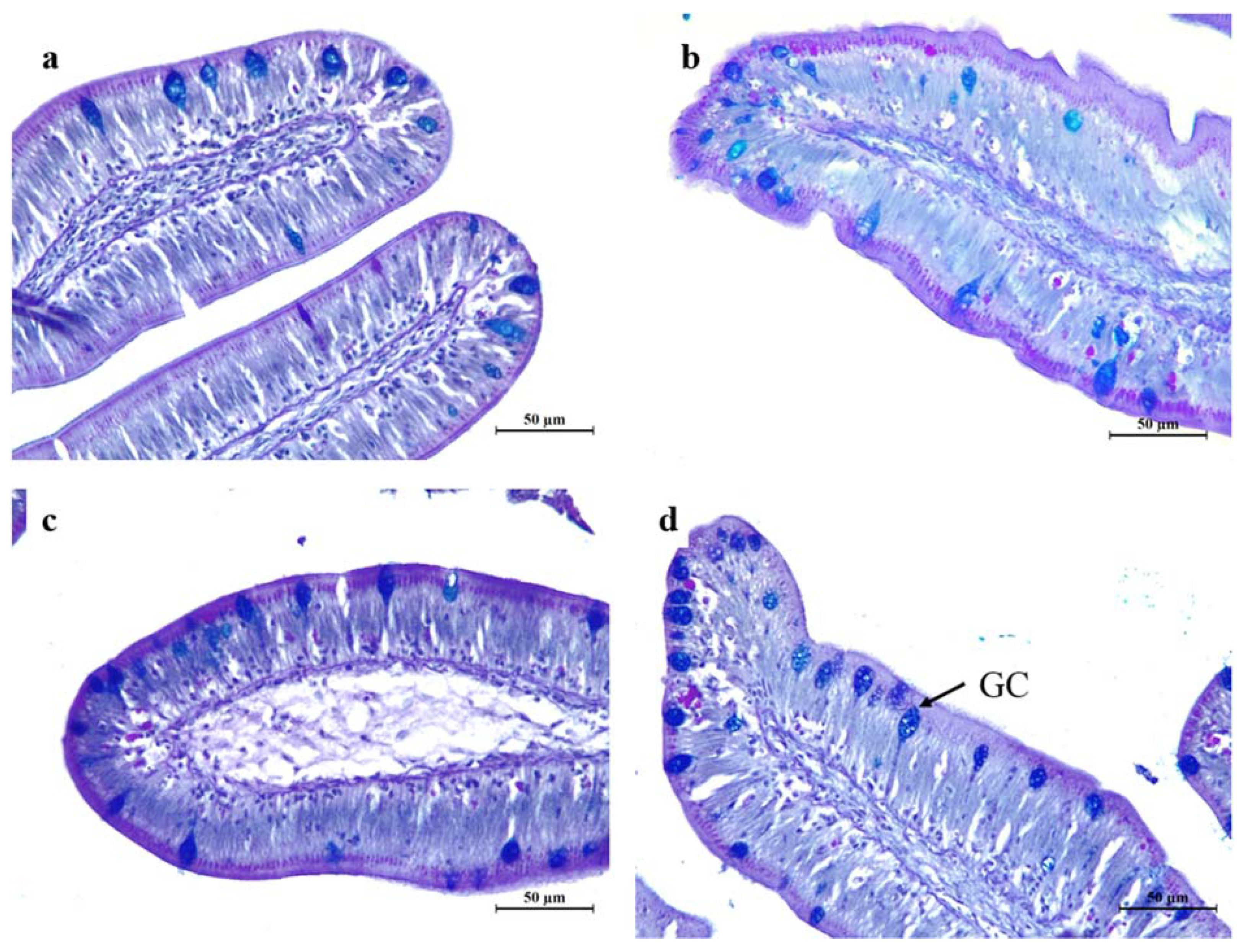 Fishes 08 00302 g003