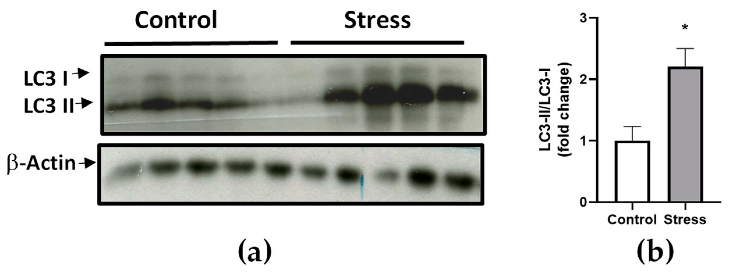 Fishes 08 00303 g005 Fishes 08 00303 g005