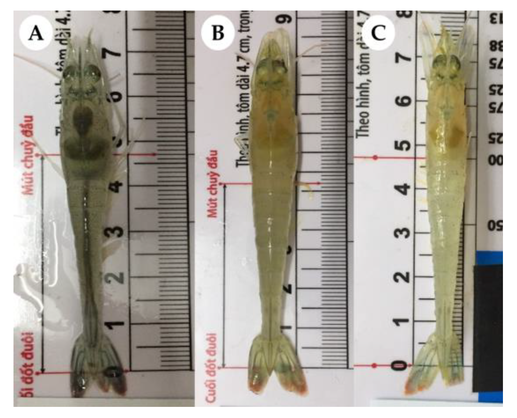 Fishes 08 00308 g002