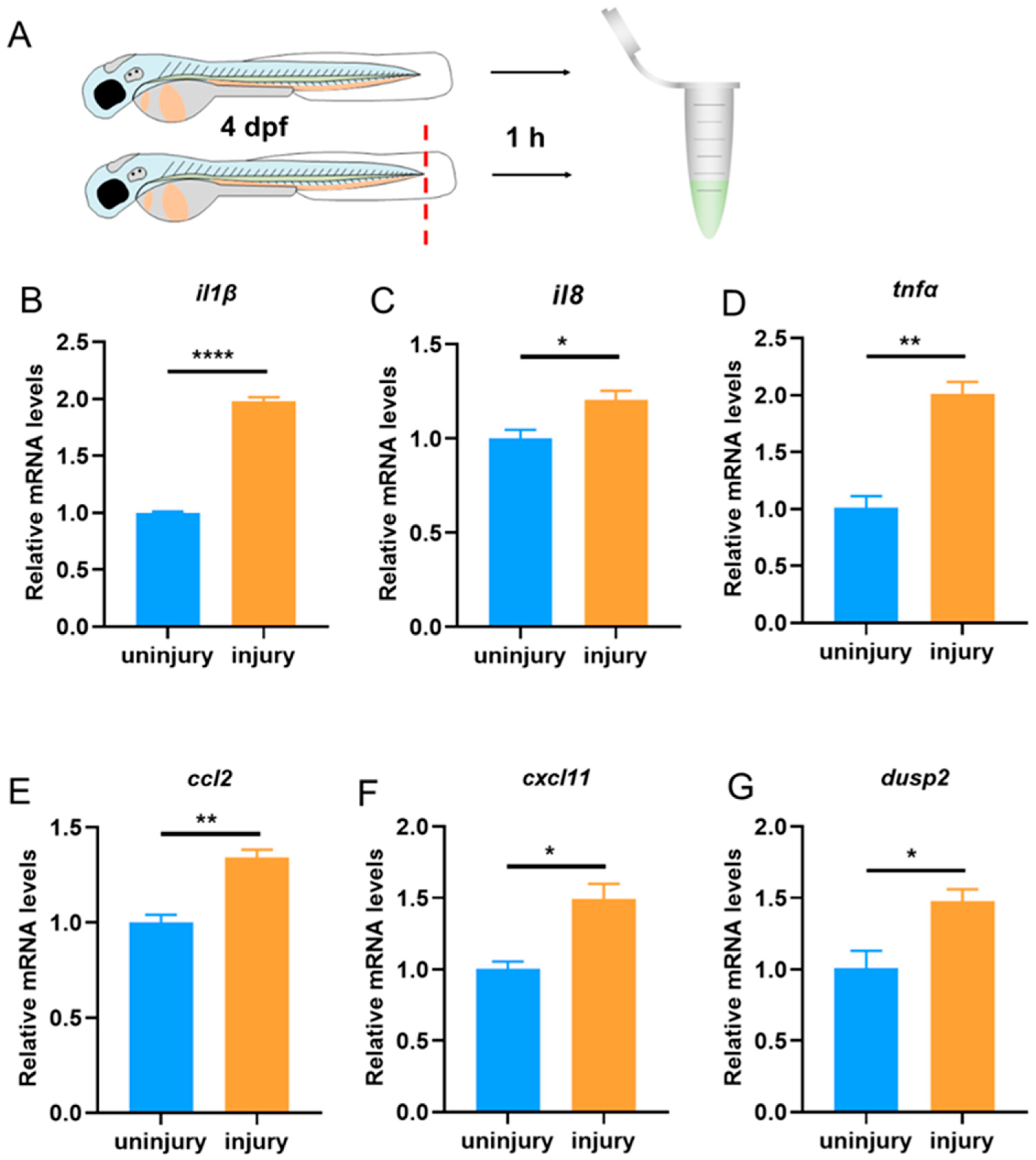 Fishes 08 00310 g002 Fishes 08 00310 g002