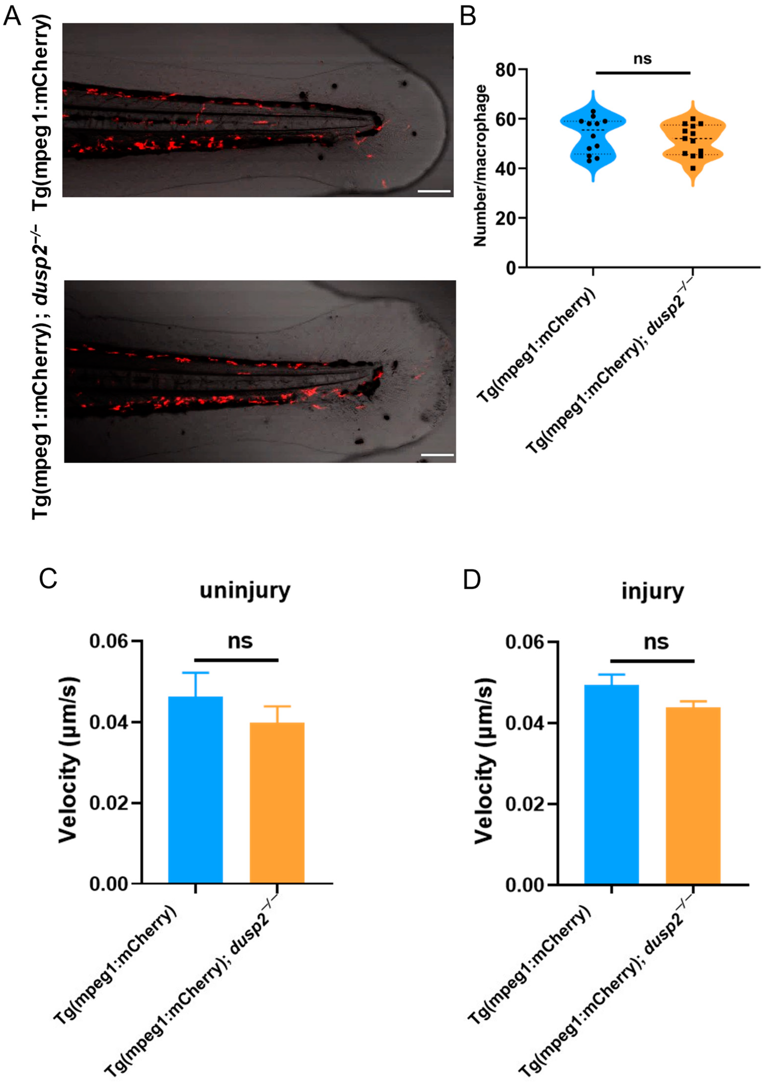 Fishes 08 00310 g005 Fishes 08 00310 g005