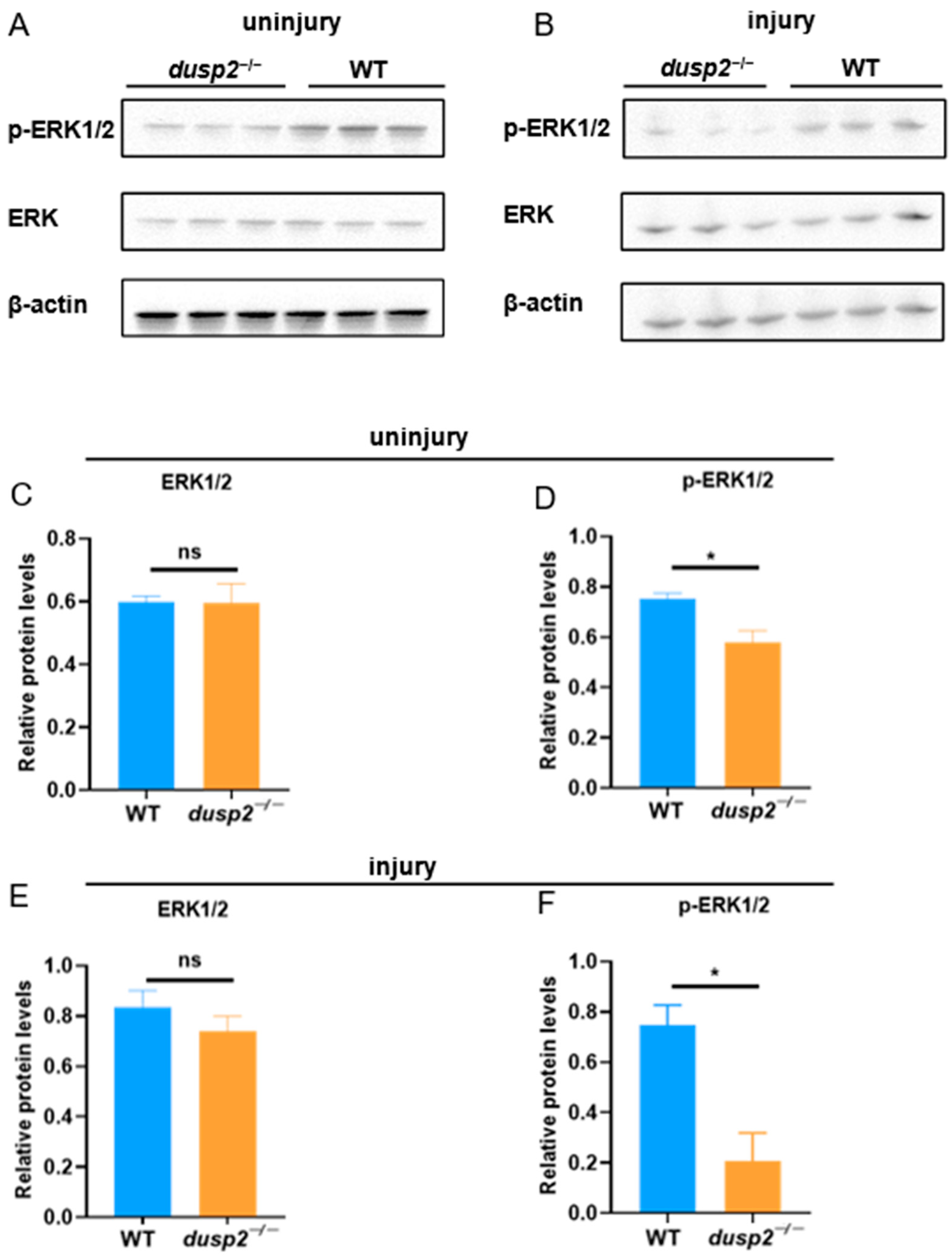 Fishes 08 00310 g006 Fishes 08 00310 g006
