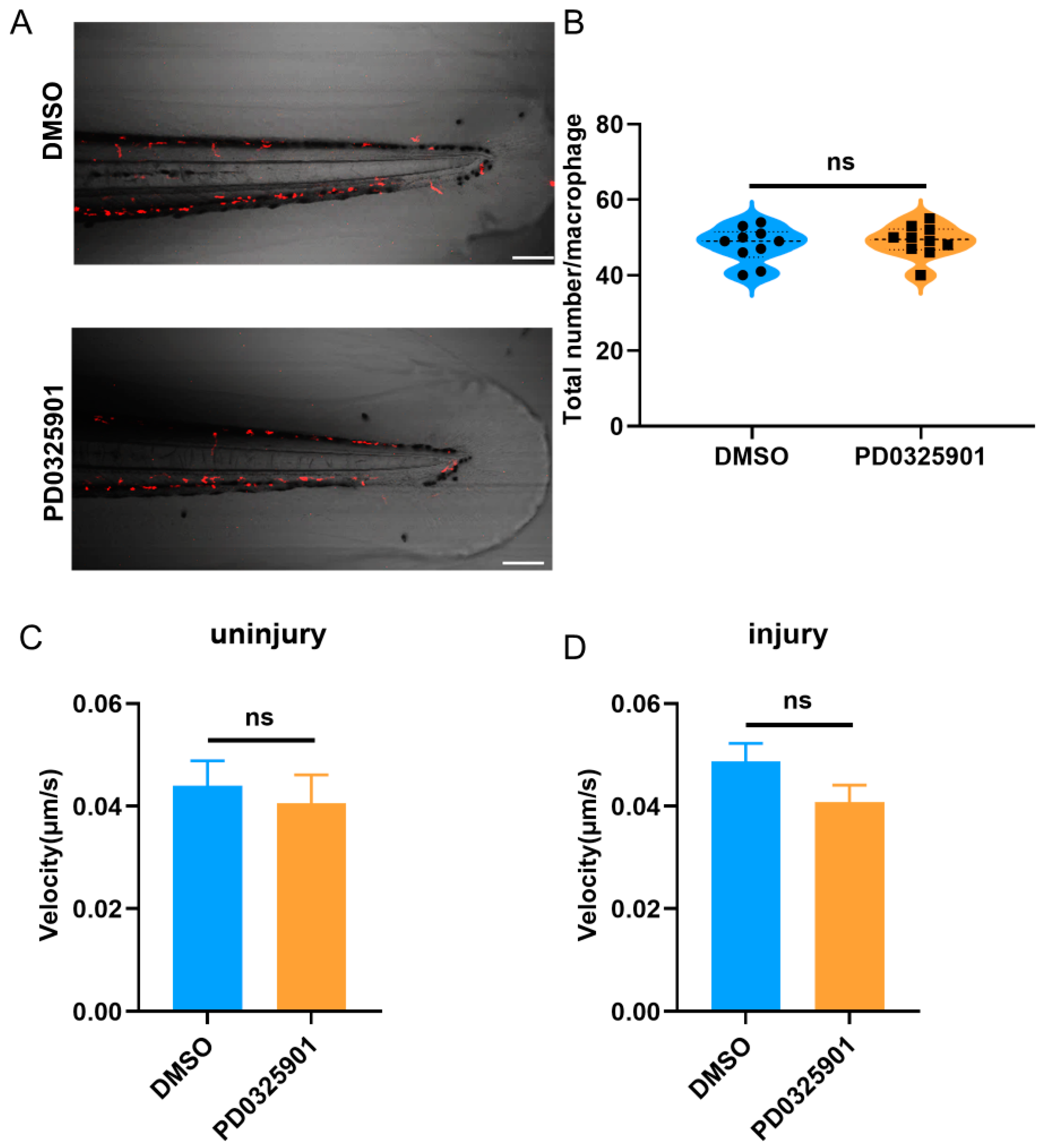 Fishes 08 00310 g008 Fishes 08 00310 g008