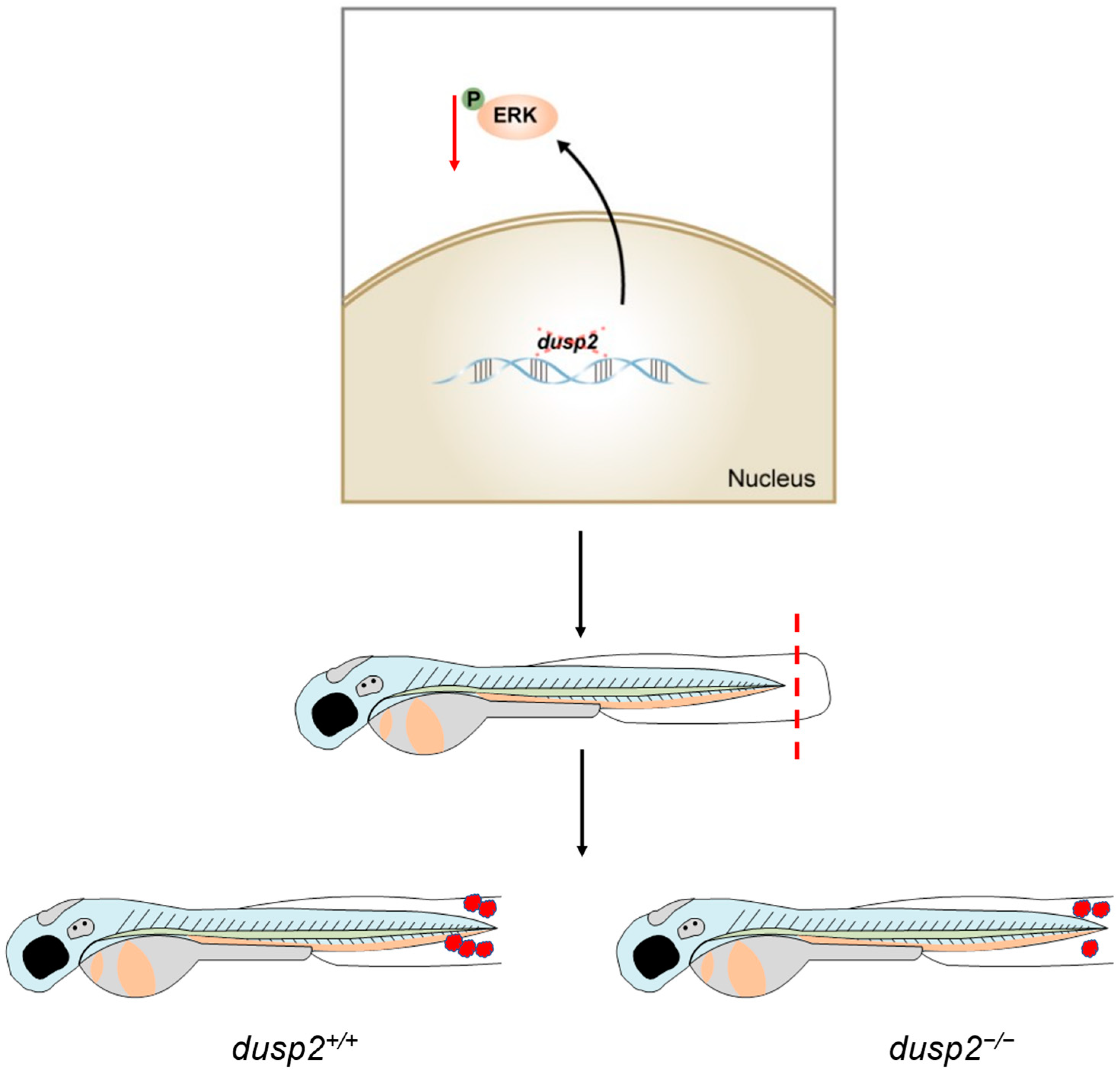 Fishes 08 00310 g009 Fishes 08 00310 g009