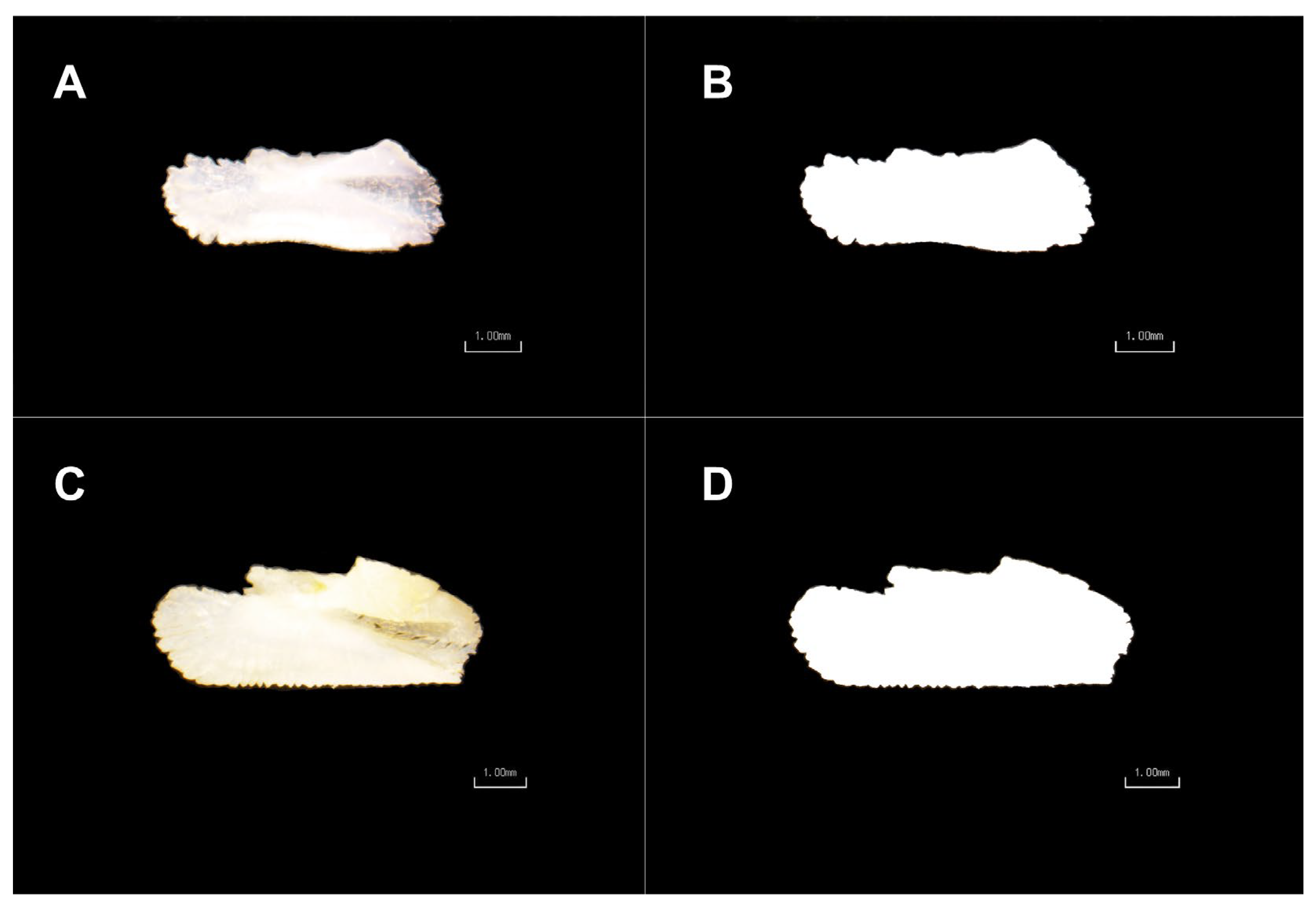 Fishes 08 00317 g001