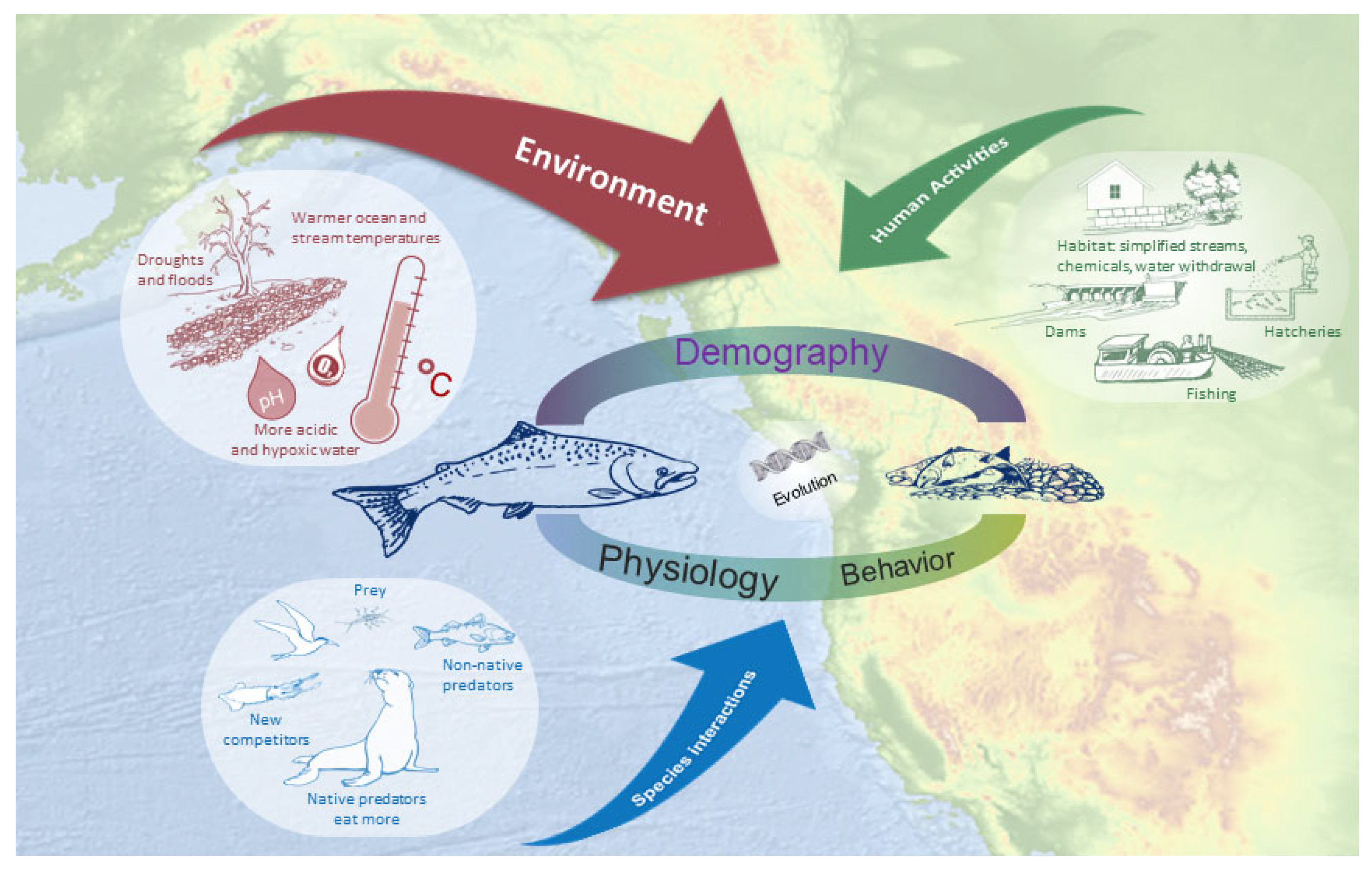 Tracing the evolutionary origins of fish to shallow ocean waters