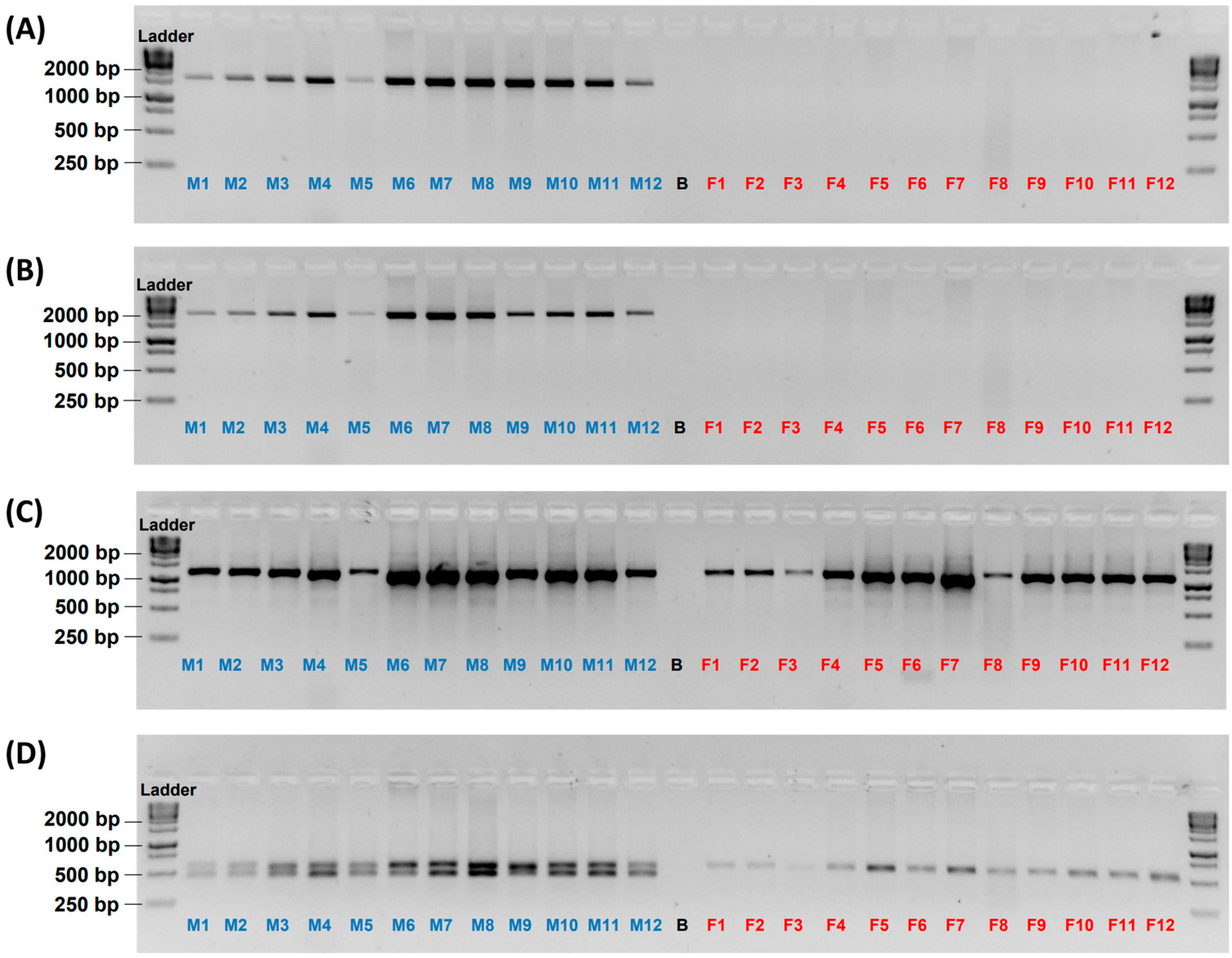 Fishes 08 00327 g001